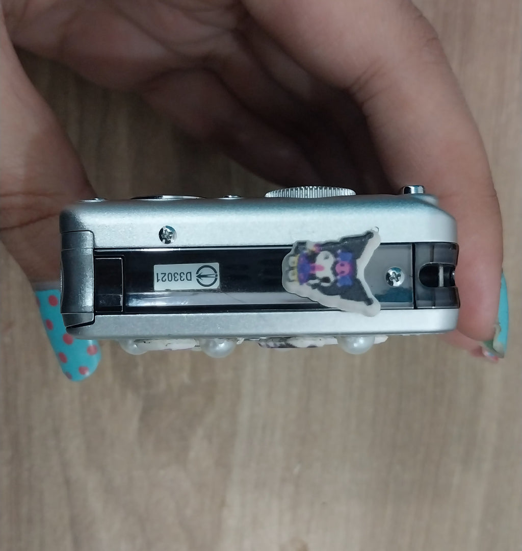 The Sony Cyber-shot DSC-W130