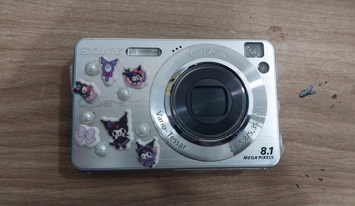 The Sony Cyber-shot DSC-W130