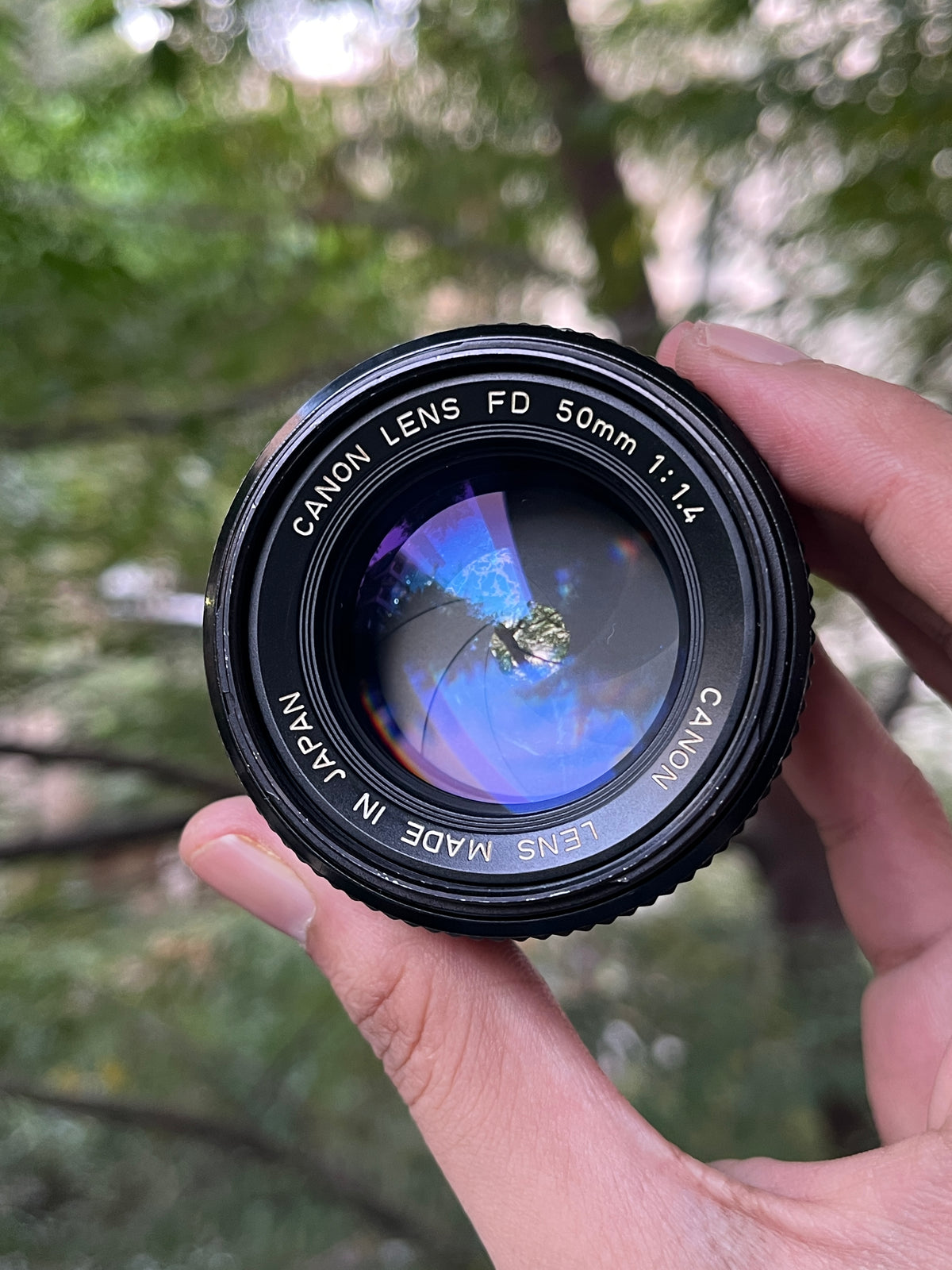 Canon AE-1 + Canon NFD 50mm F1.4