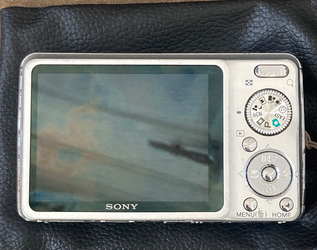 DSC-W210