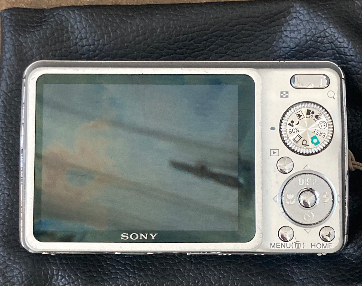 DSC-W210