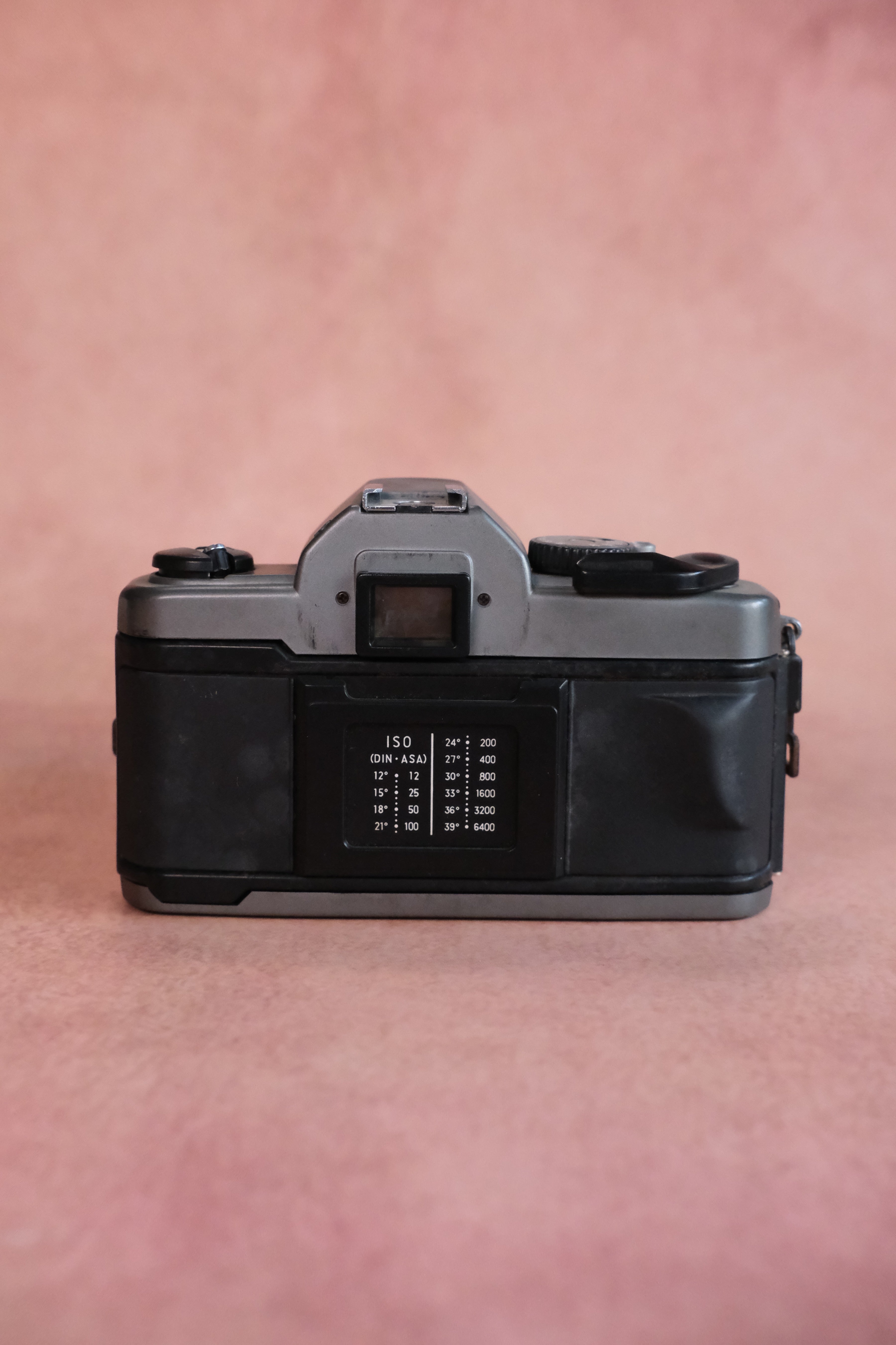 Vivitar V3800N + Vivitar 28-80mm MC Macro Zoom (Pentax K Mount)