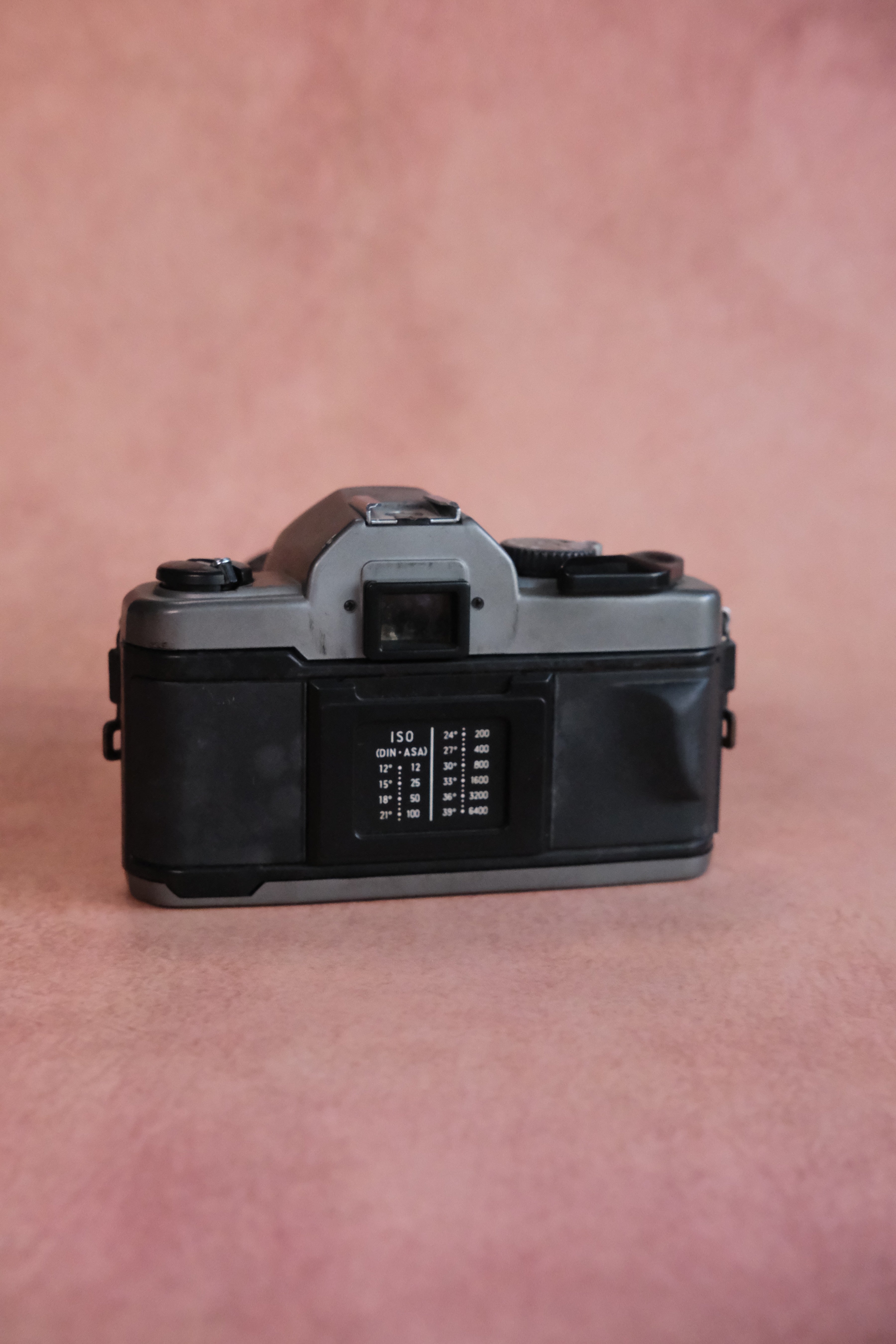 Vivitar V3800N + Vivitar 28-80mm MC Macro Zoom (Pentax K Mount)