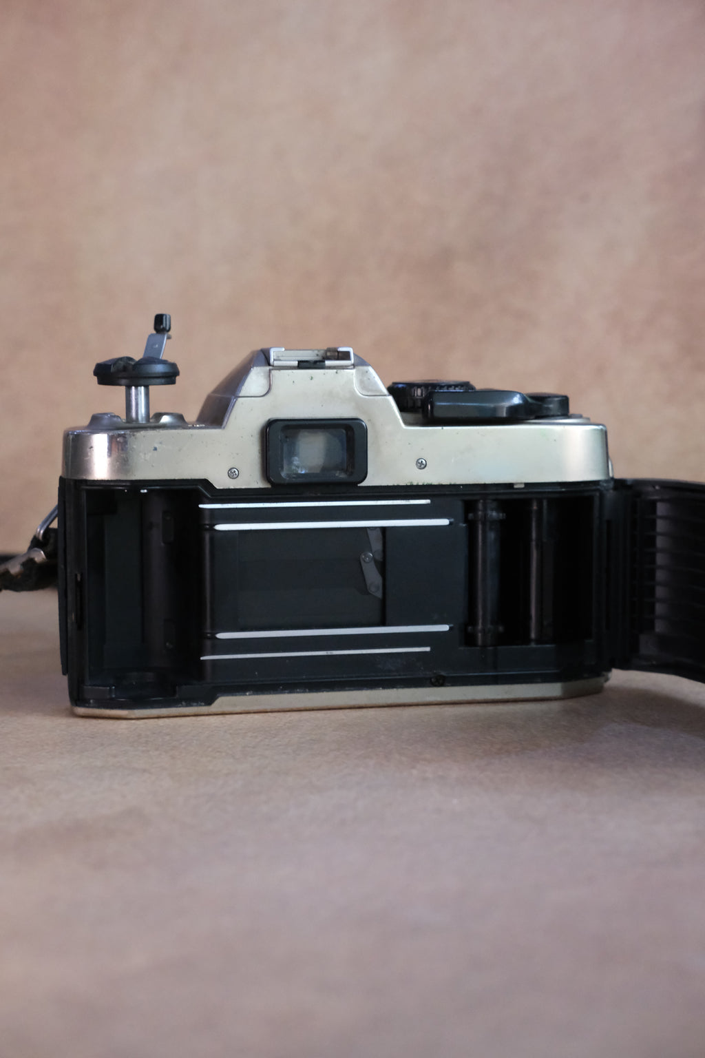 Nikon FM10 + Nikkor 35-70mm F3.5-4.8