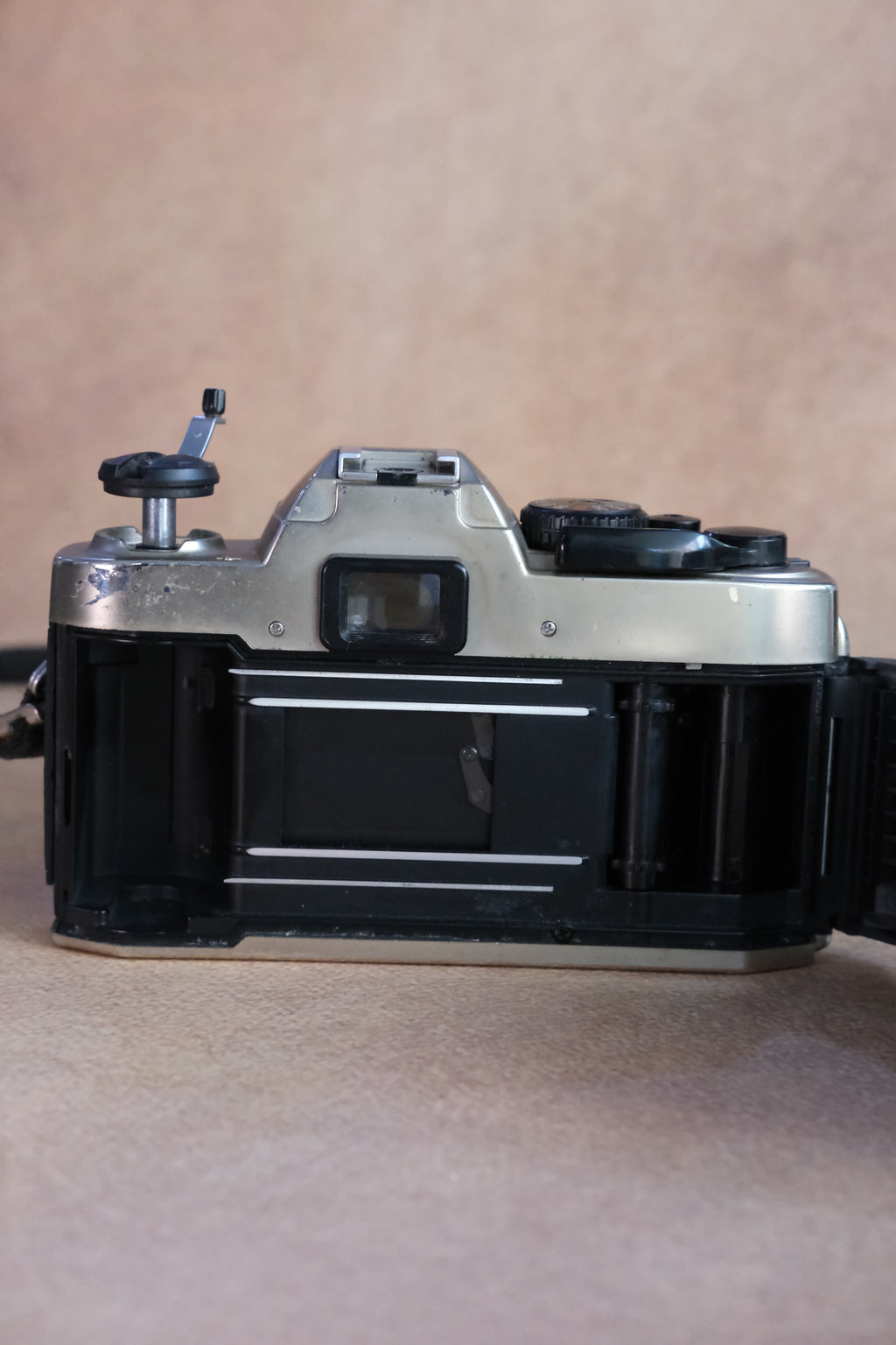 Nikon FM10 + Nikkor 35-70mm F3.5-4.8