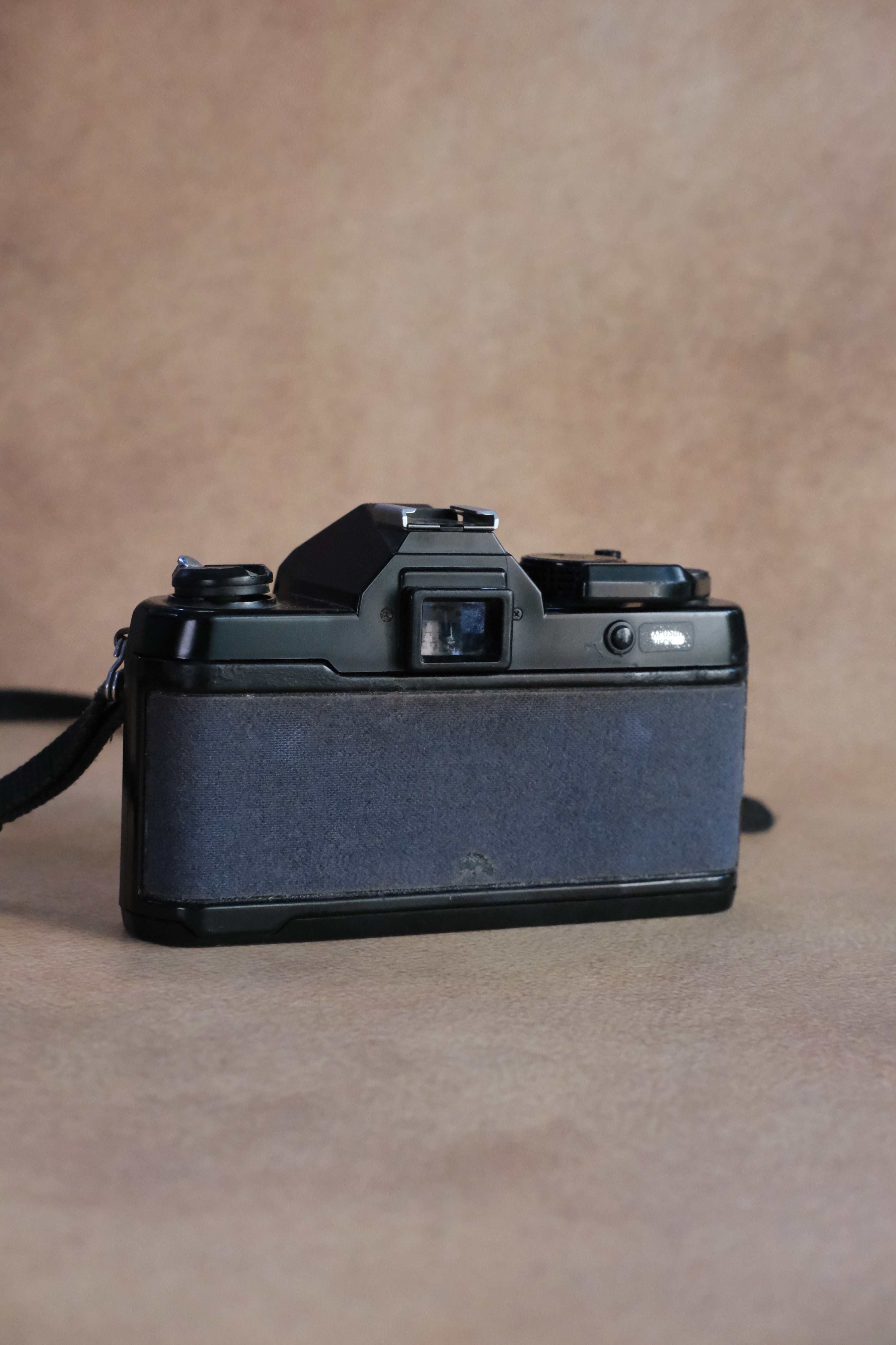 Yashica FX3 + Yashica ML 50mm F1.7