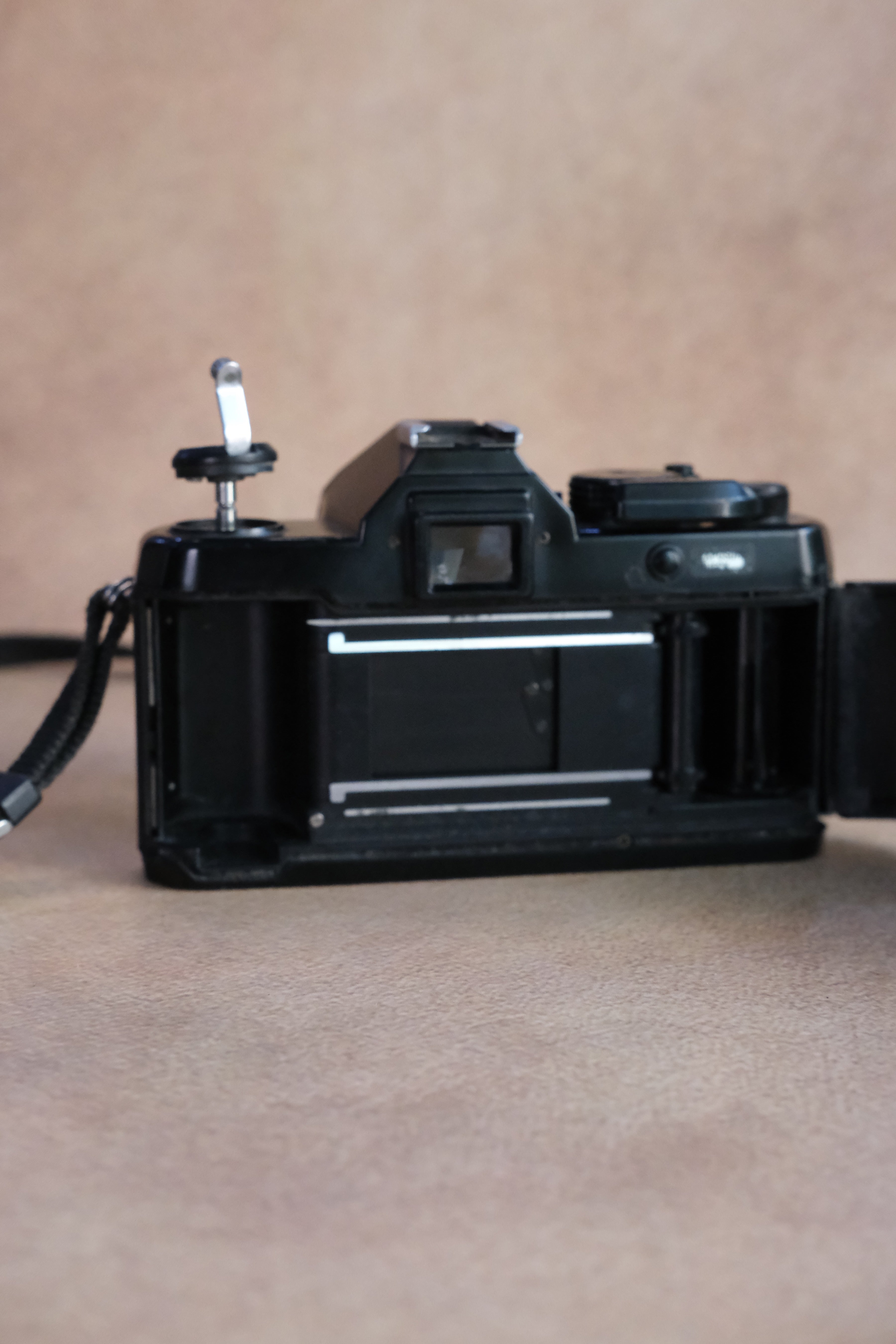 Yashica FX3 + Yashica ML 50mm F1.7