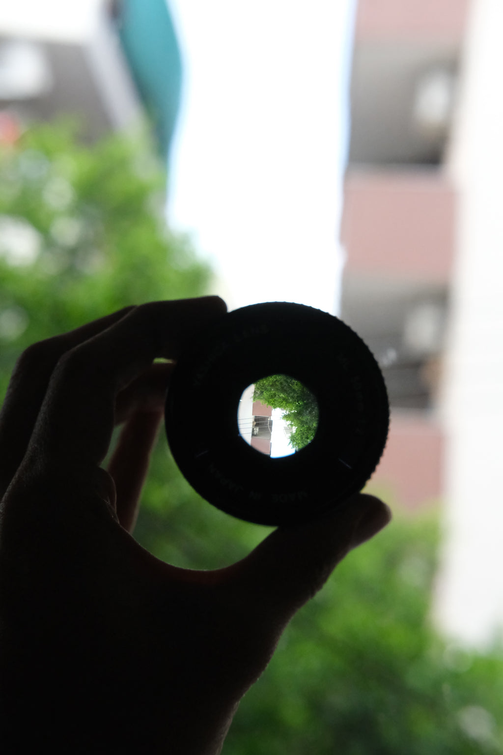 Yashica FX3 + Yashica ML 50mm F1.7