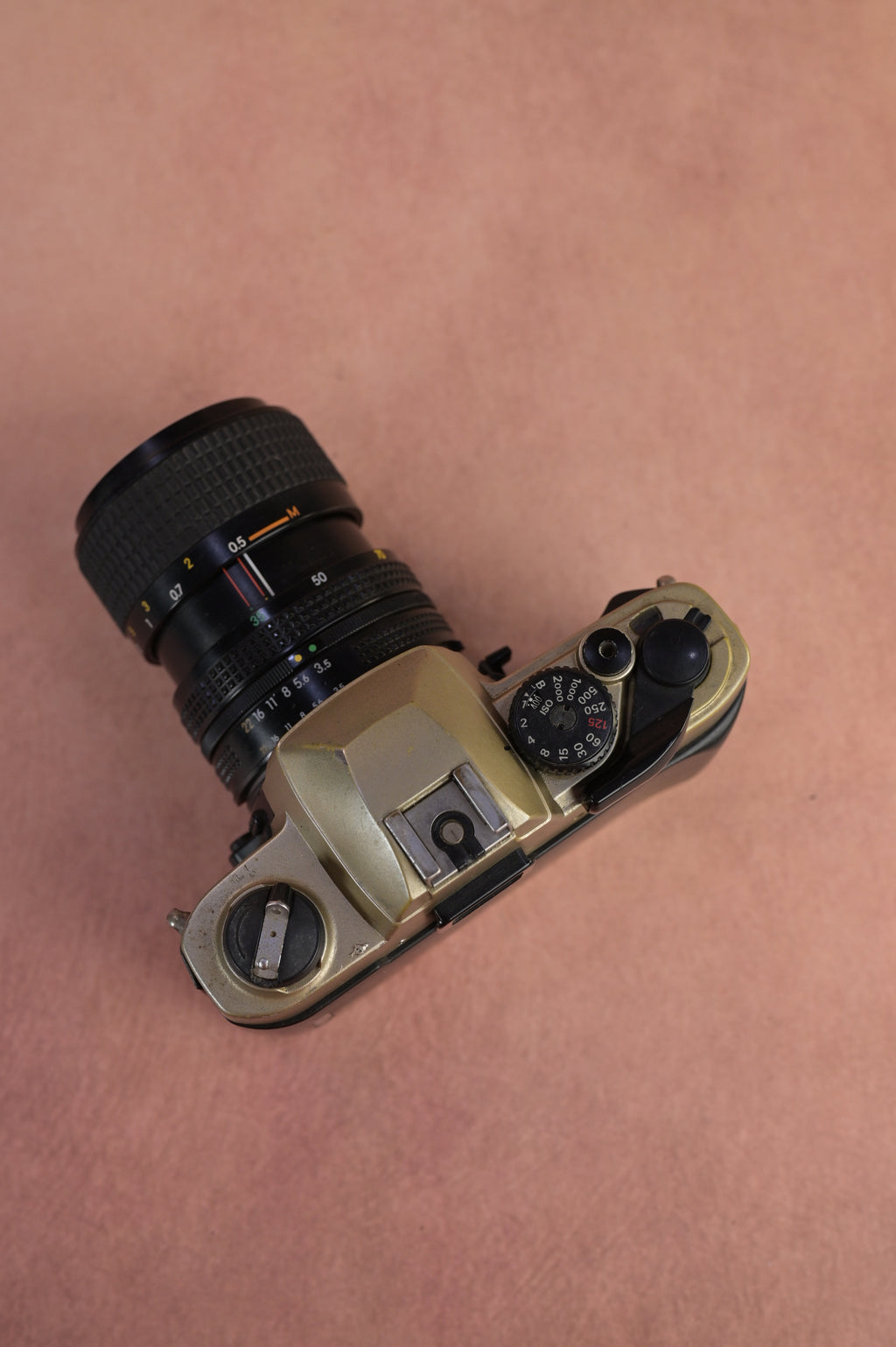 Nikon FM10 + Nikkor 35-70mm F3.5-4.5 Zoom