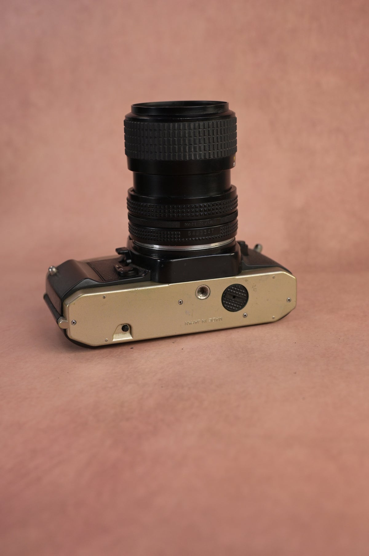 Nikon FM10 + Nikkor 35-70mm F3.5-4.5 Zoom