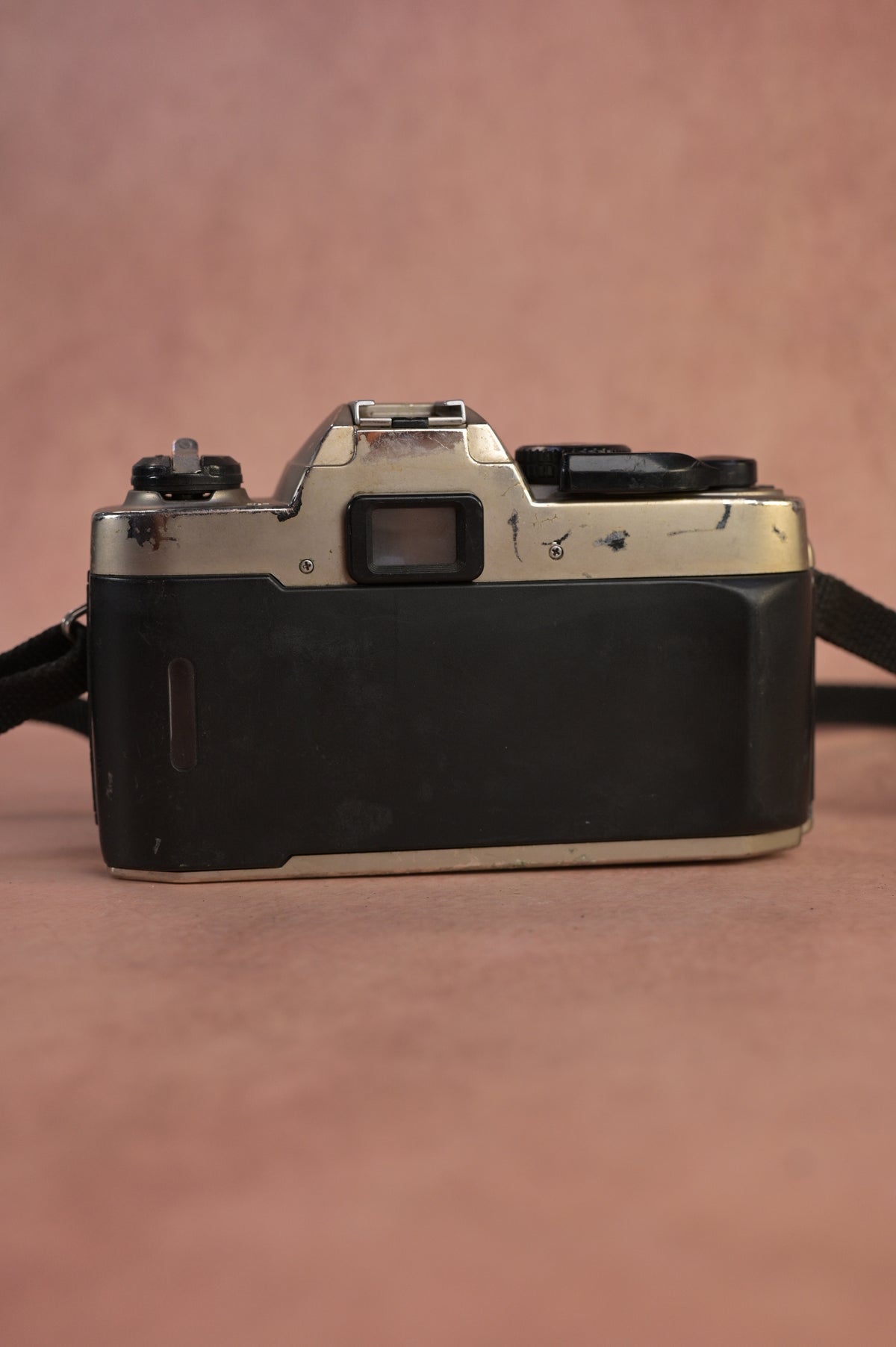 Nikon FM10 + Nikon AF Nikkor 35-80mm F4-5.6 D