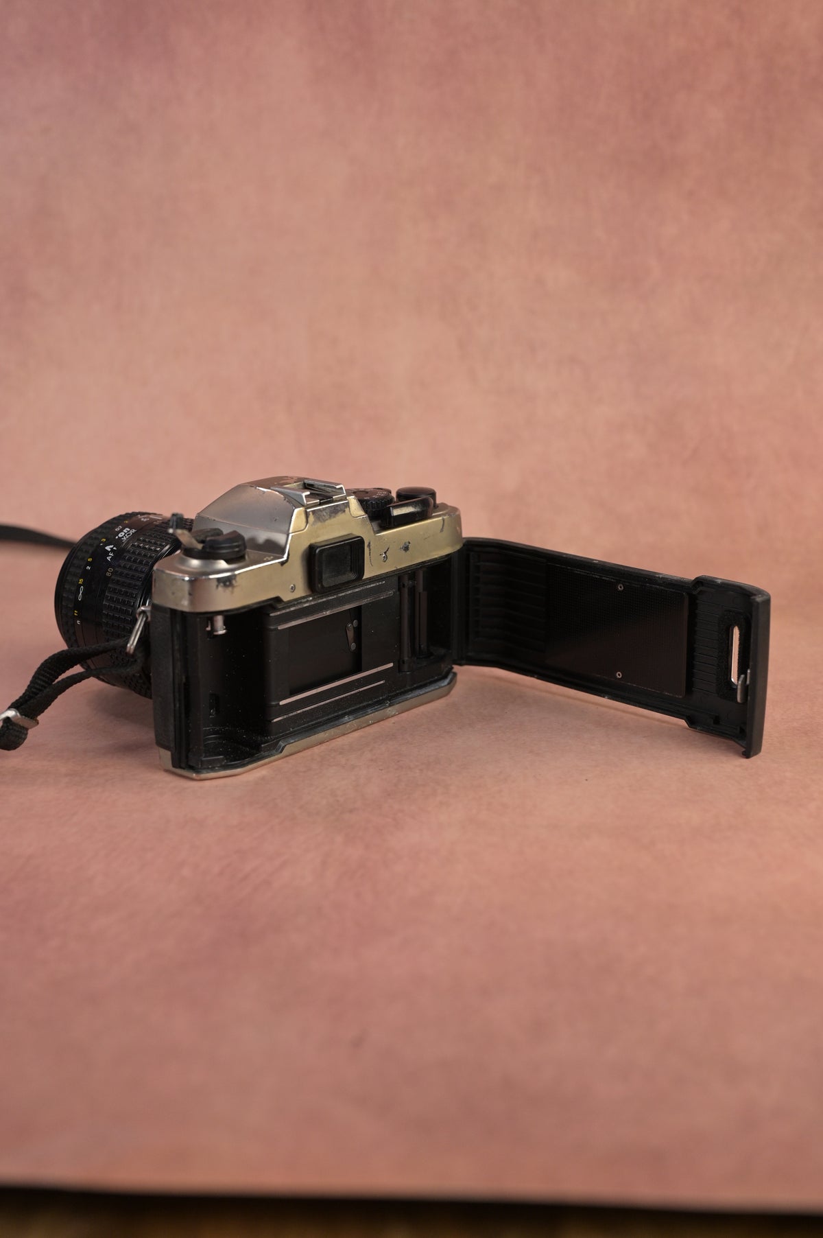Nikon FM10 + Nikon AF Nikkor 35-80mm F4-5.6 D