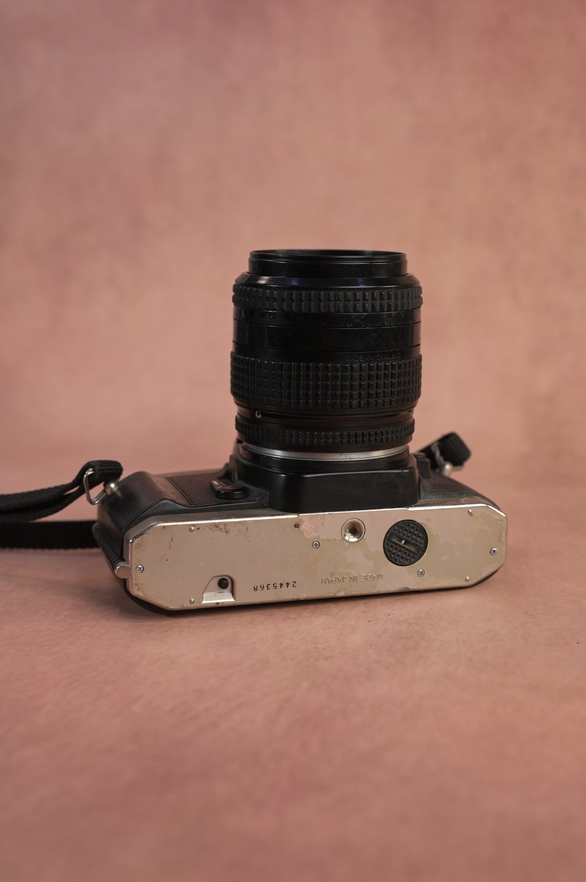 Nikon FM10 + Nikon AF Nikkor 35-80mm F4-5.6 D