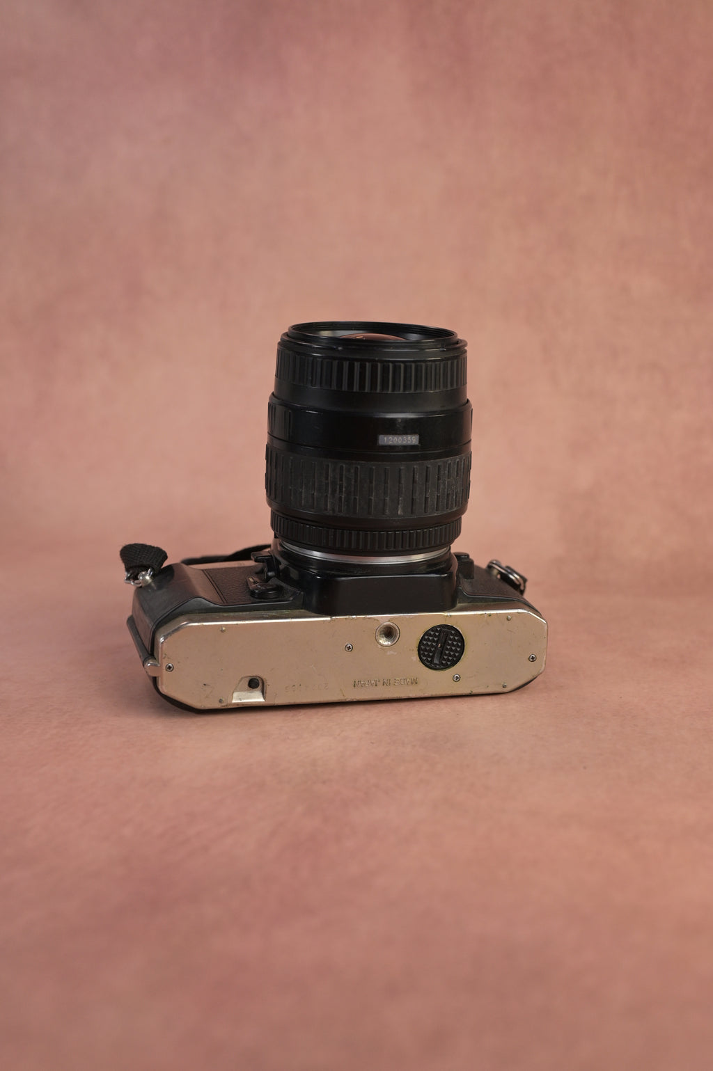 Nikon FM10 + Sigma Macro Zoom 28-80mm F3.5-5.6