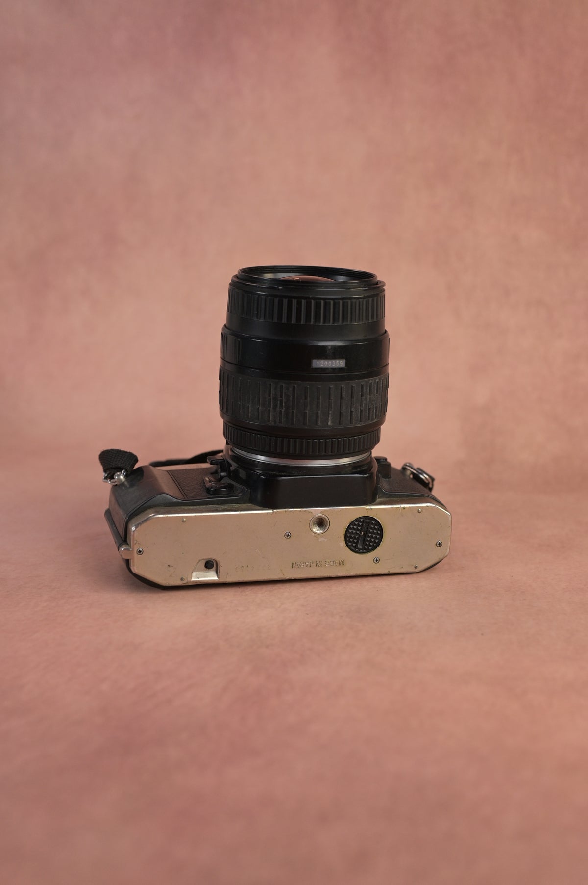 Nikon FM10 + Sigma Macro Zoom 28-80mm F3.5-5.6