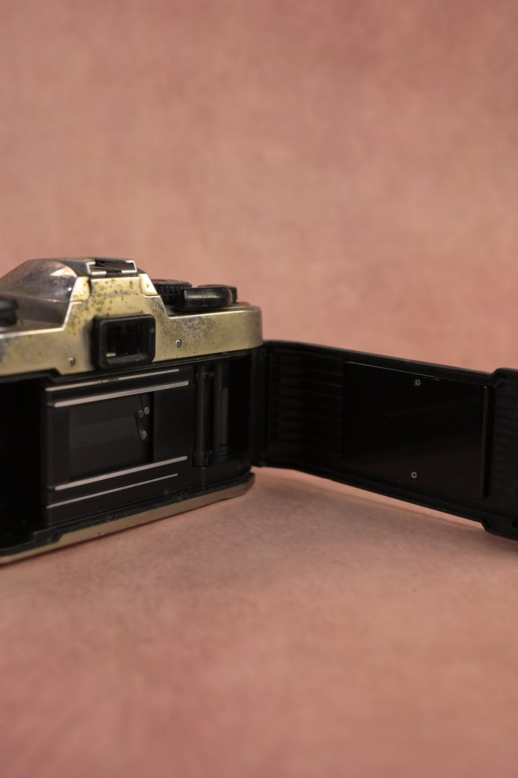 Nikon FM10 + Sigma Macro Zoom 28-80mm F3.5-5.6