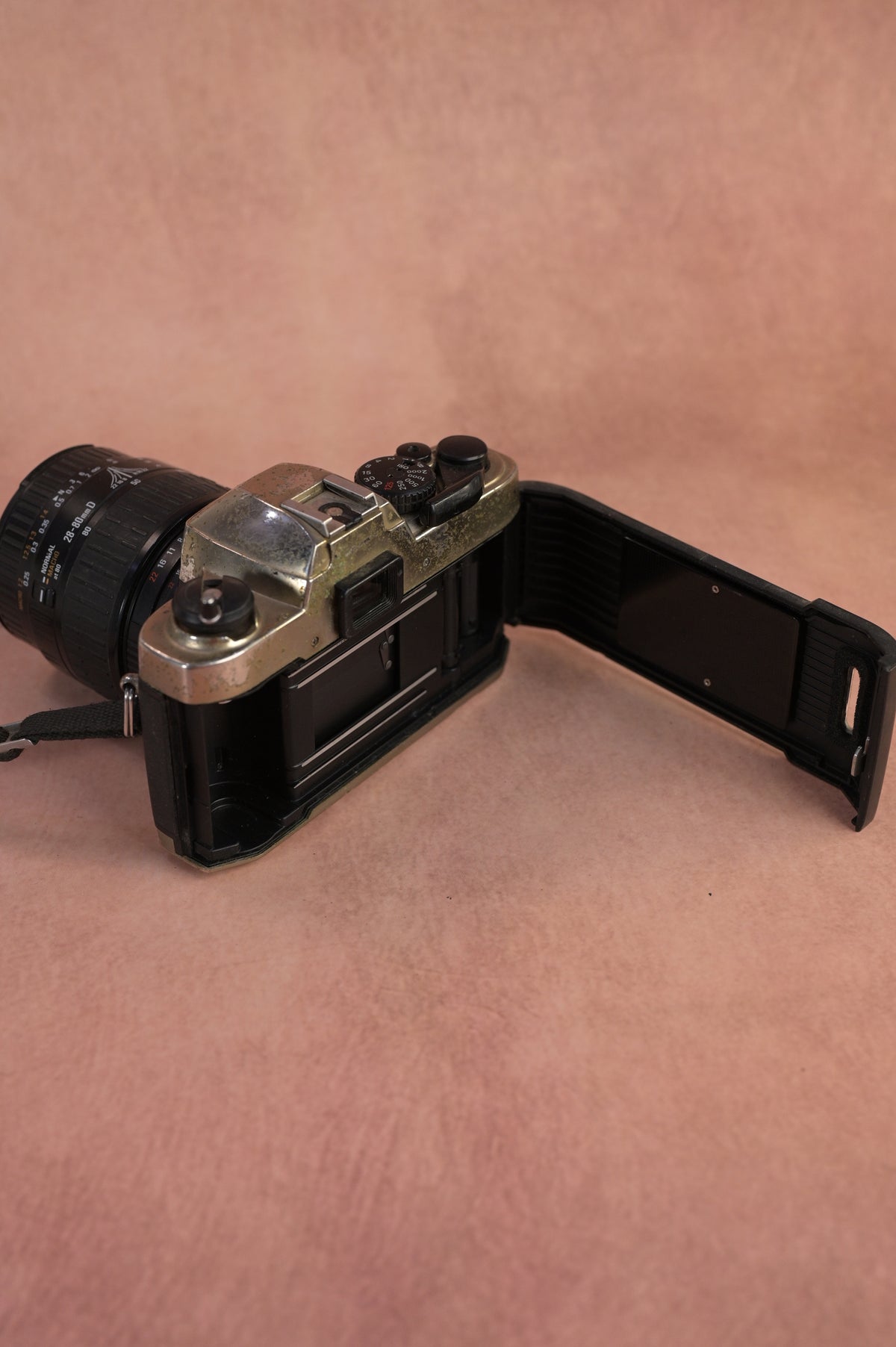 Nikon FM10 + Sigma Macro Zoom 28-80mm F3.5-5.6