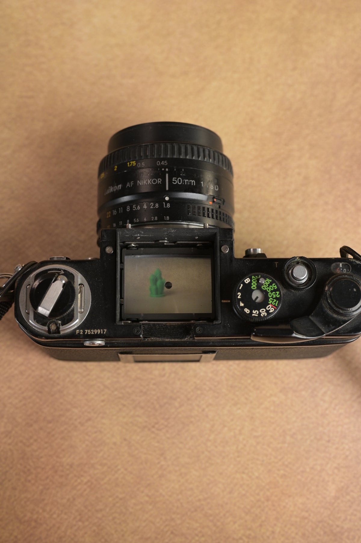 Nikon F2 + DP-2 Finder + Nikon AF Nikkor 50mm F1.8D