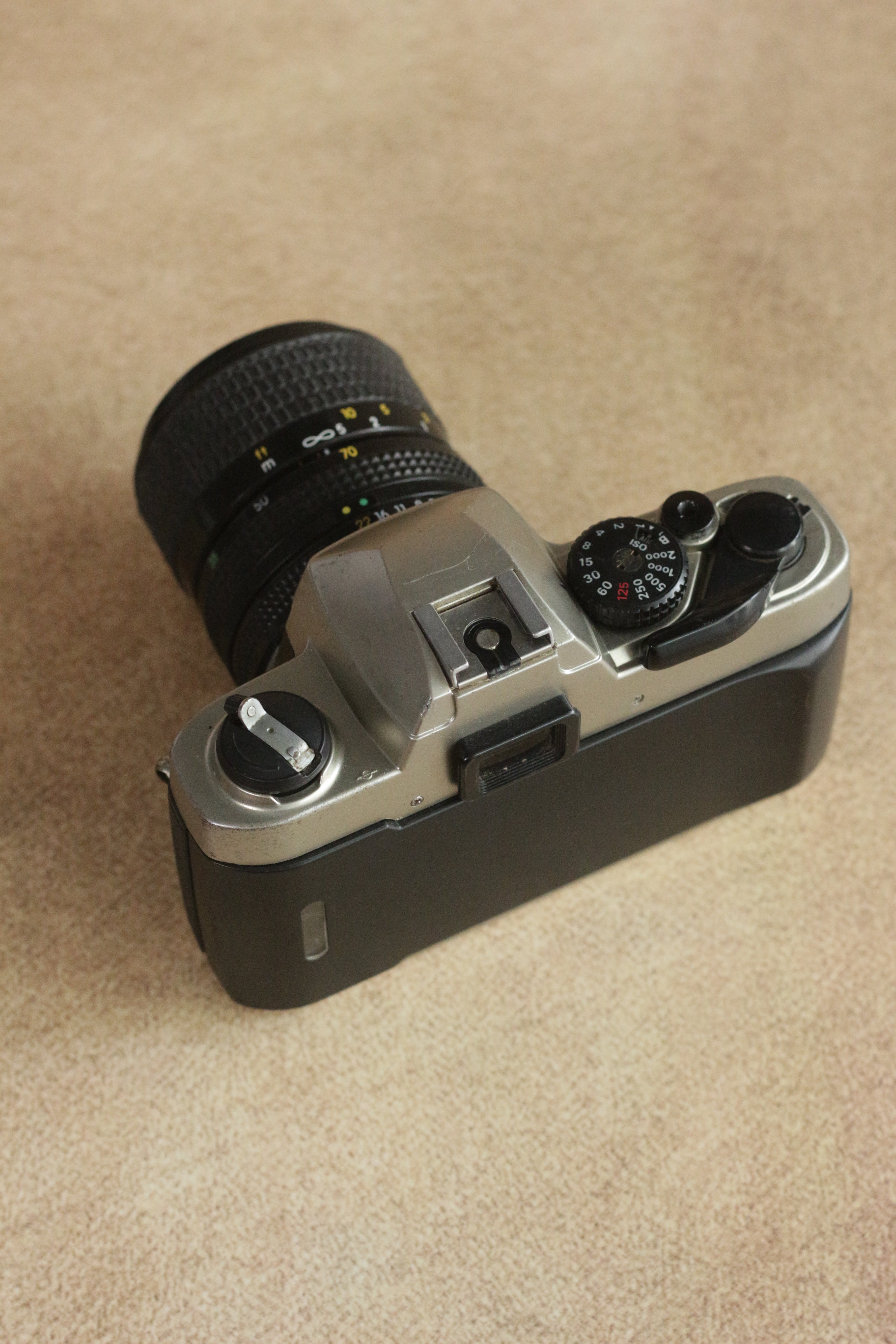 Nikon FM10 + Nikkor 35-70mm Zoom