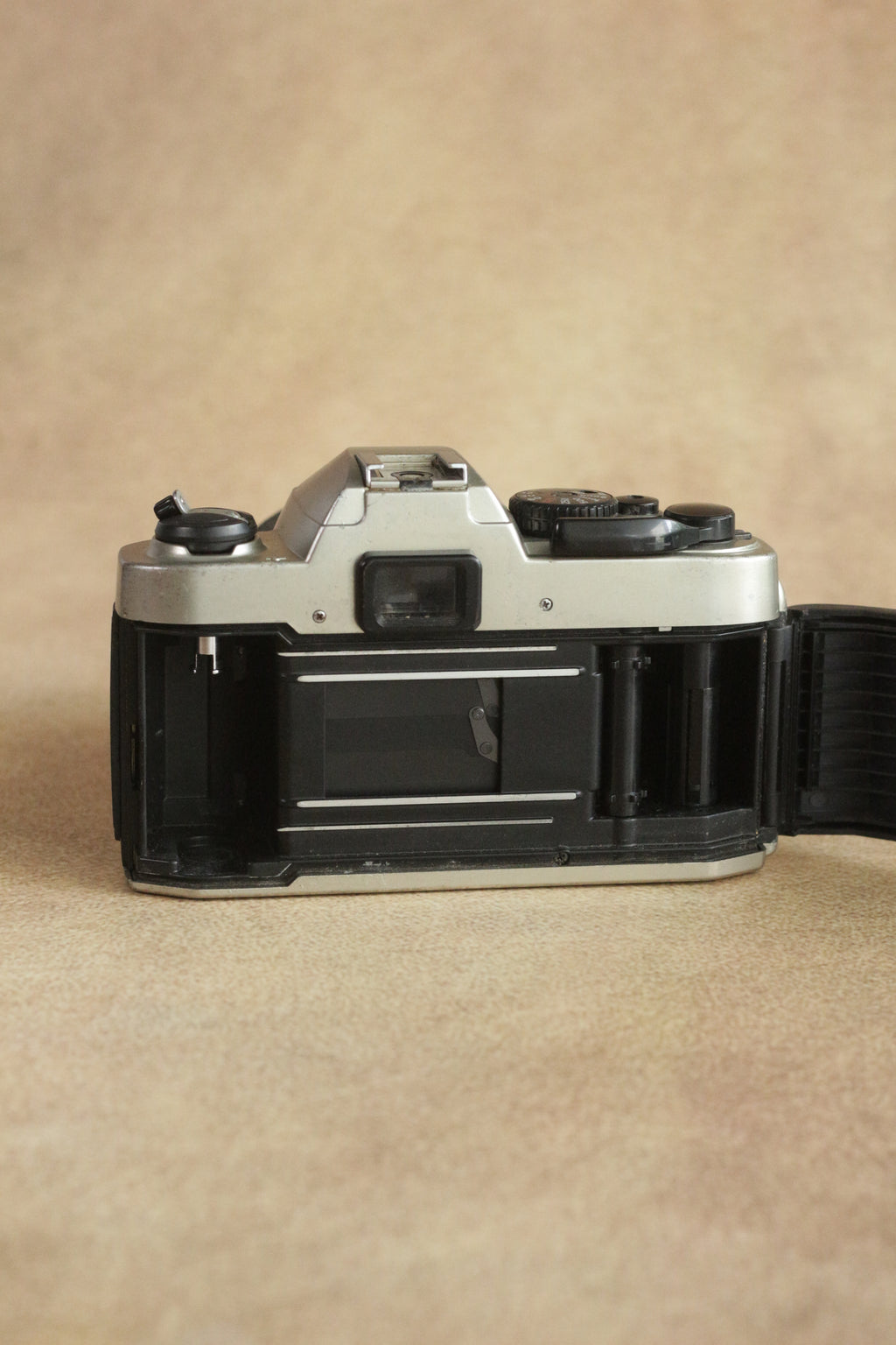 Nikon FM10 + Nikkor 35-70mm Zoom