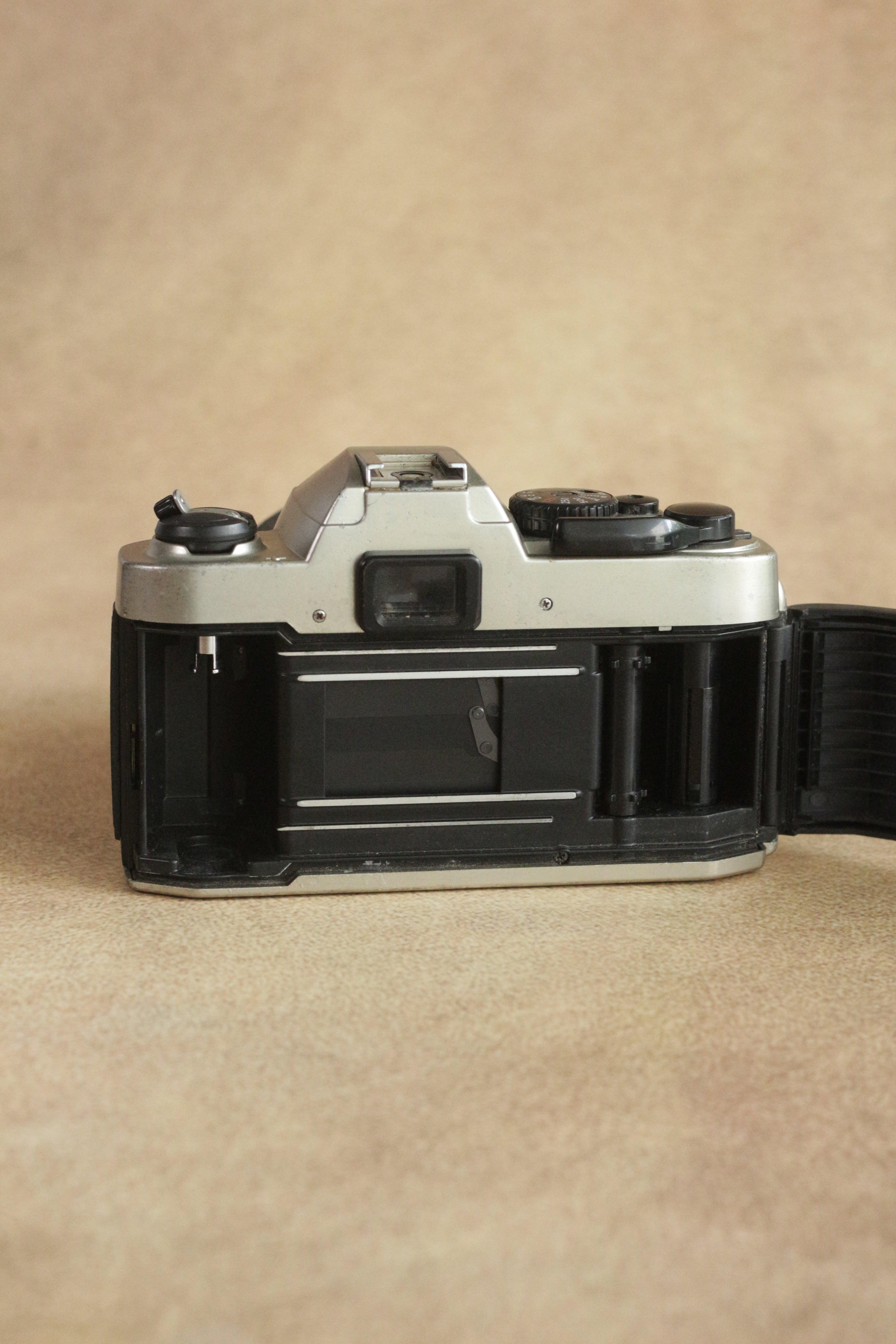 Nikon FM10 + Nikkor 35-70mm Zoom