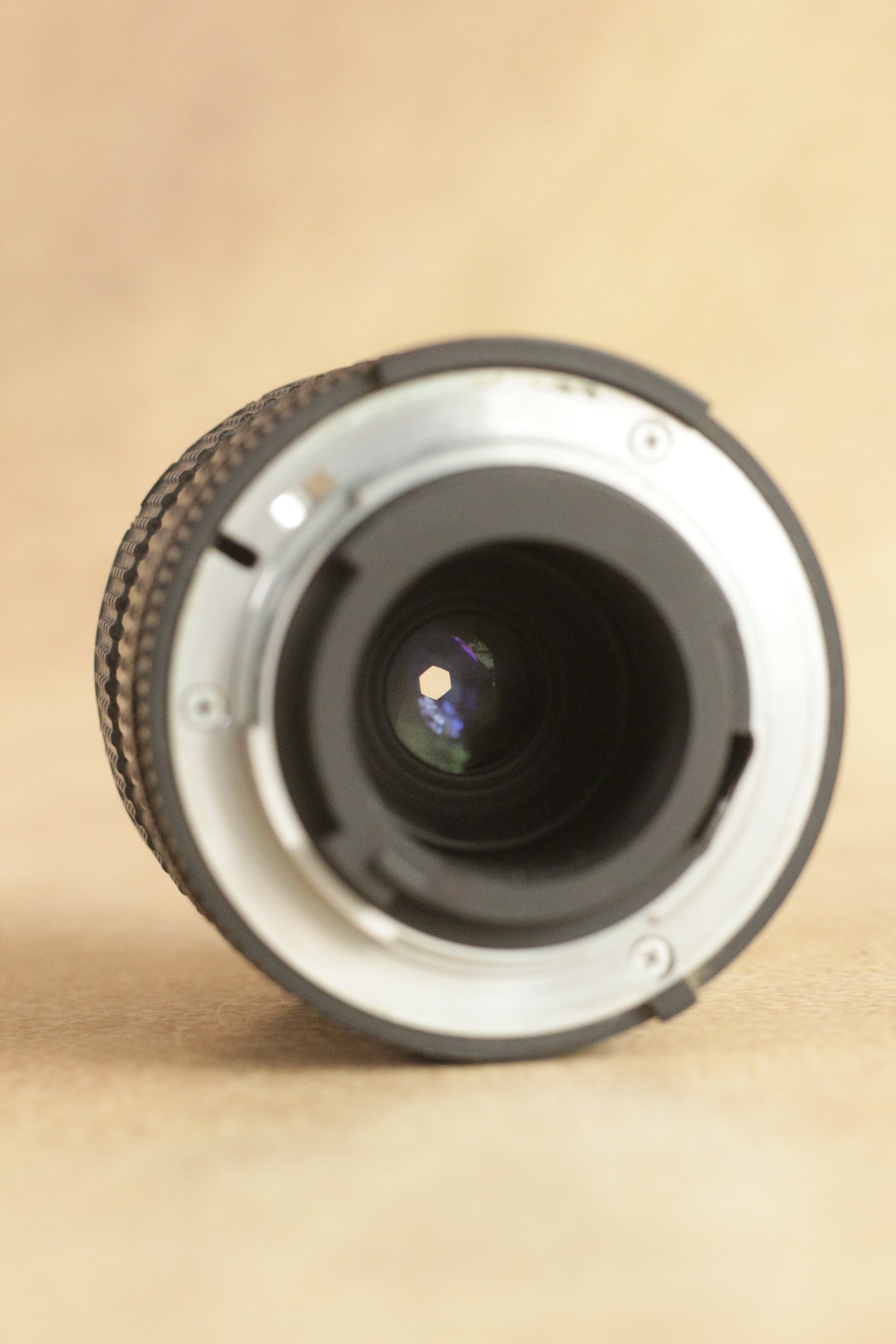 Nikon FM10 + Nikkor 35-70mm Zoom