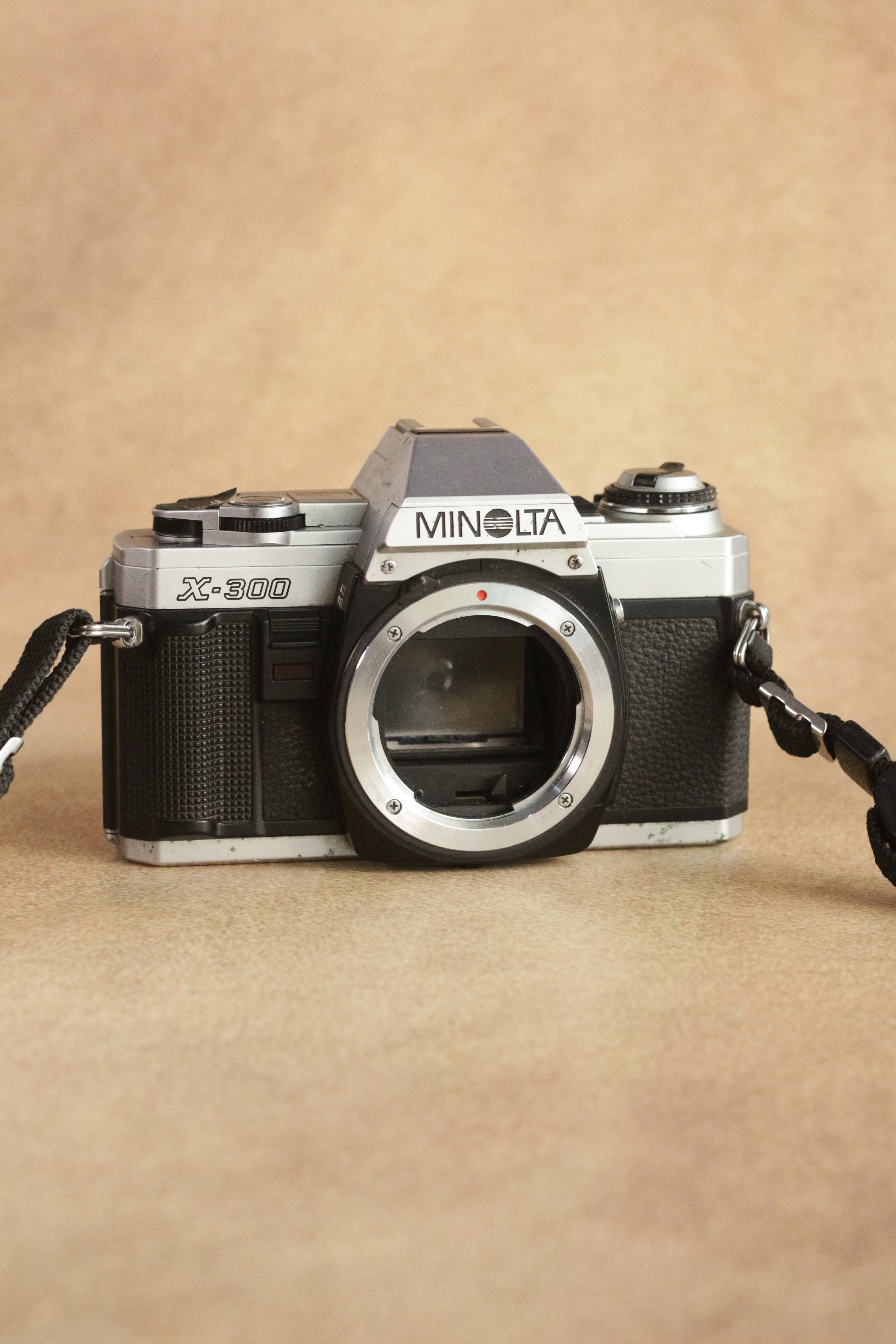 Minolta X-300 + Minolta MD 50mm F1.7