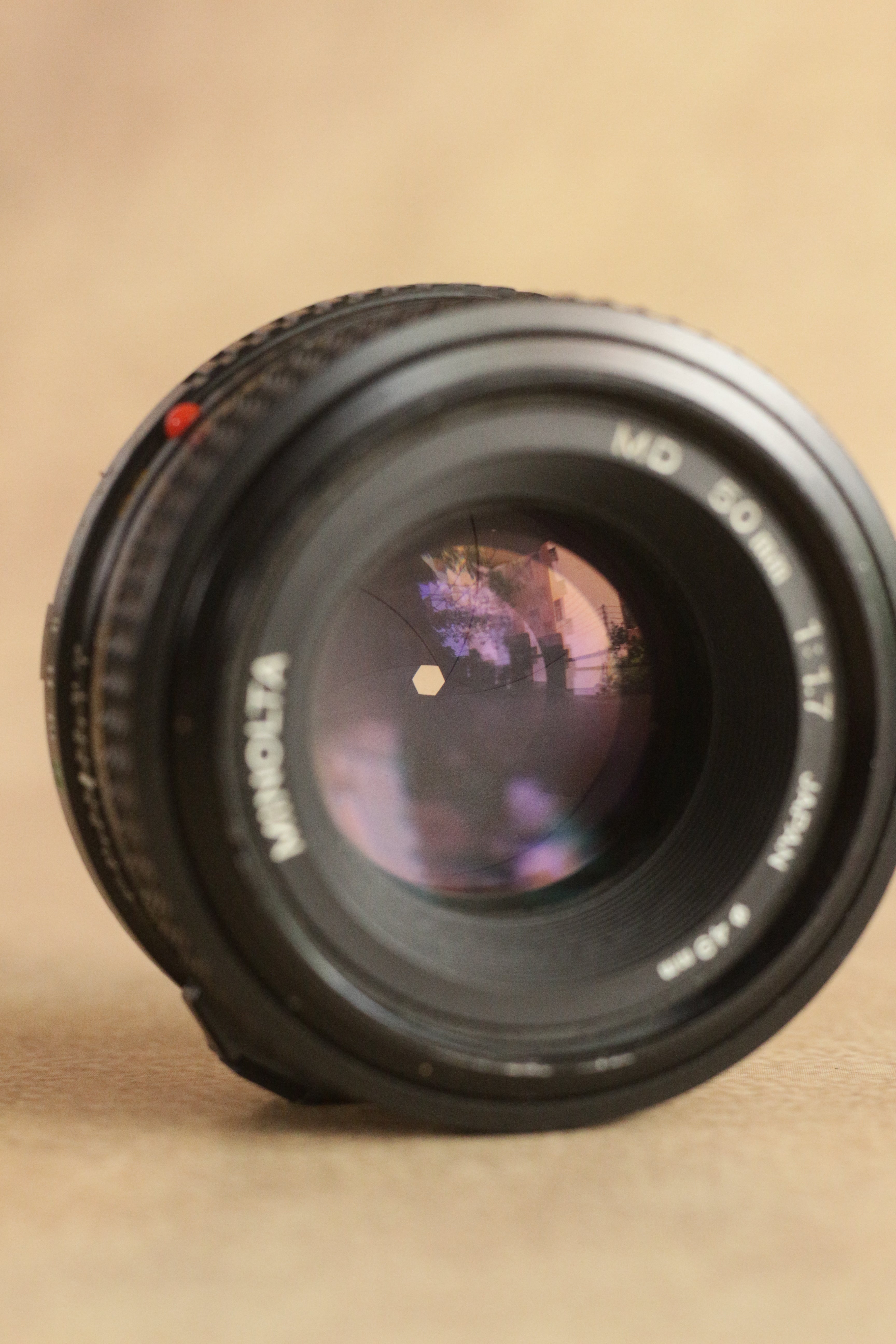 Minolta X-300 + Minolta MD 50mm F1.7