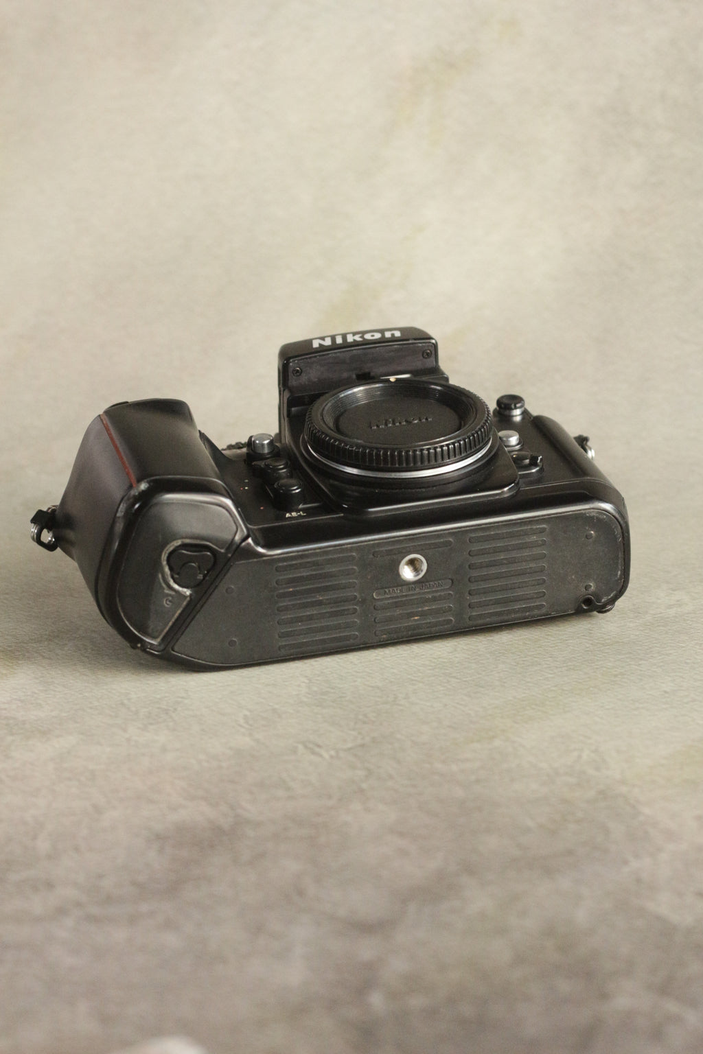 Nikon F4 + DP20 Viewfinder