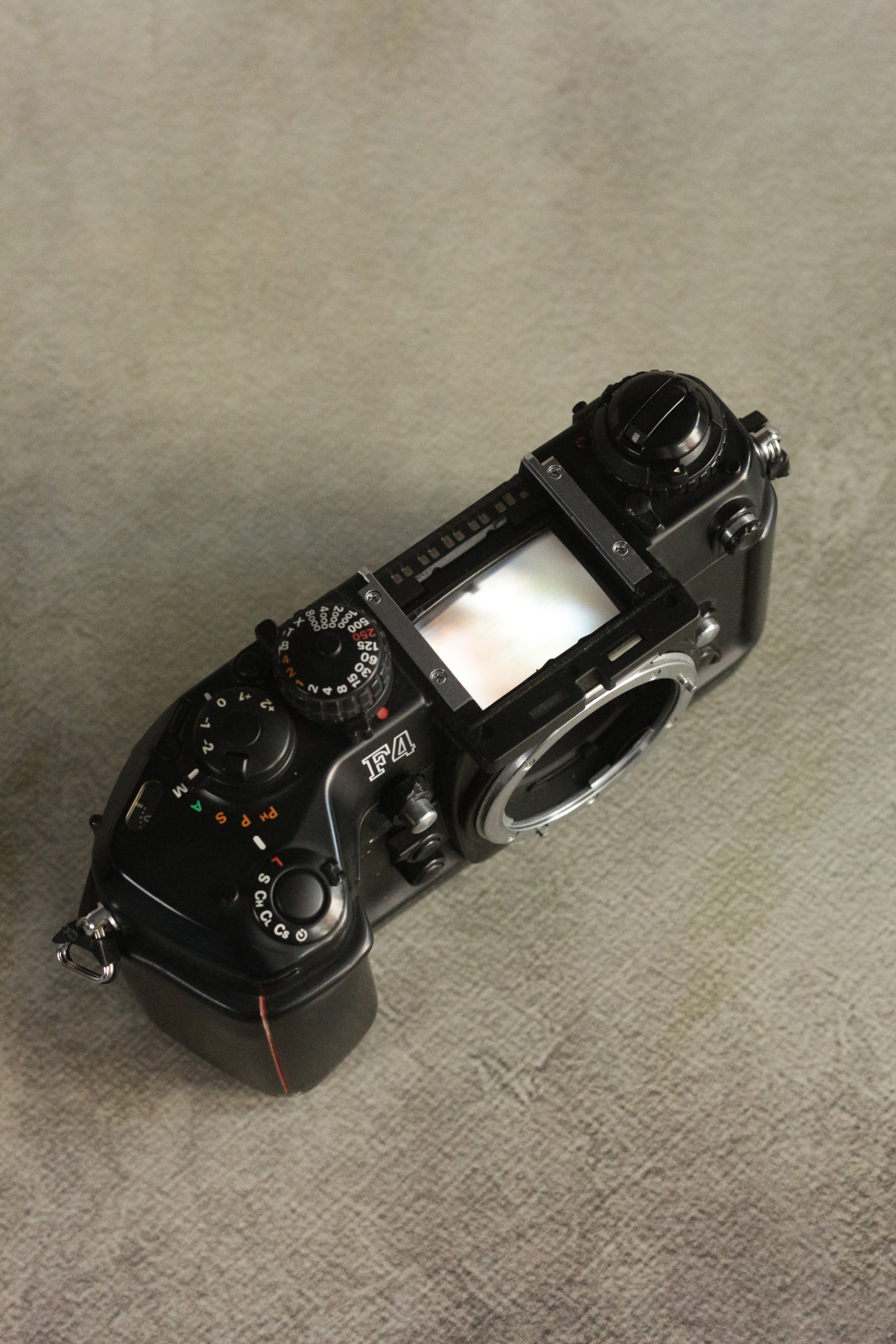 Nikon F4 + DP20 Viewfinder