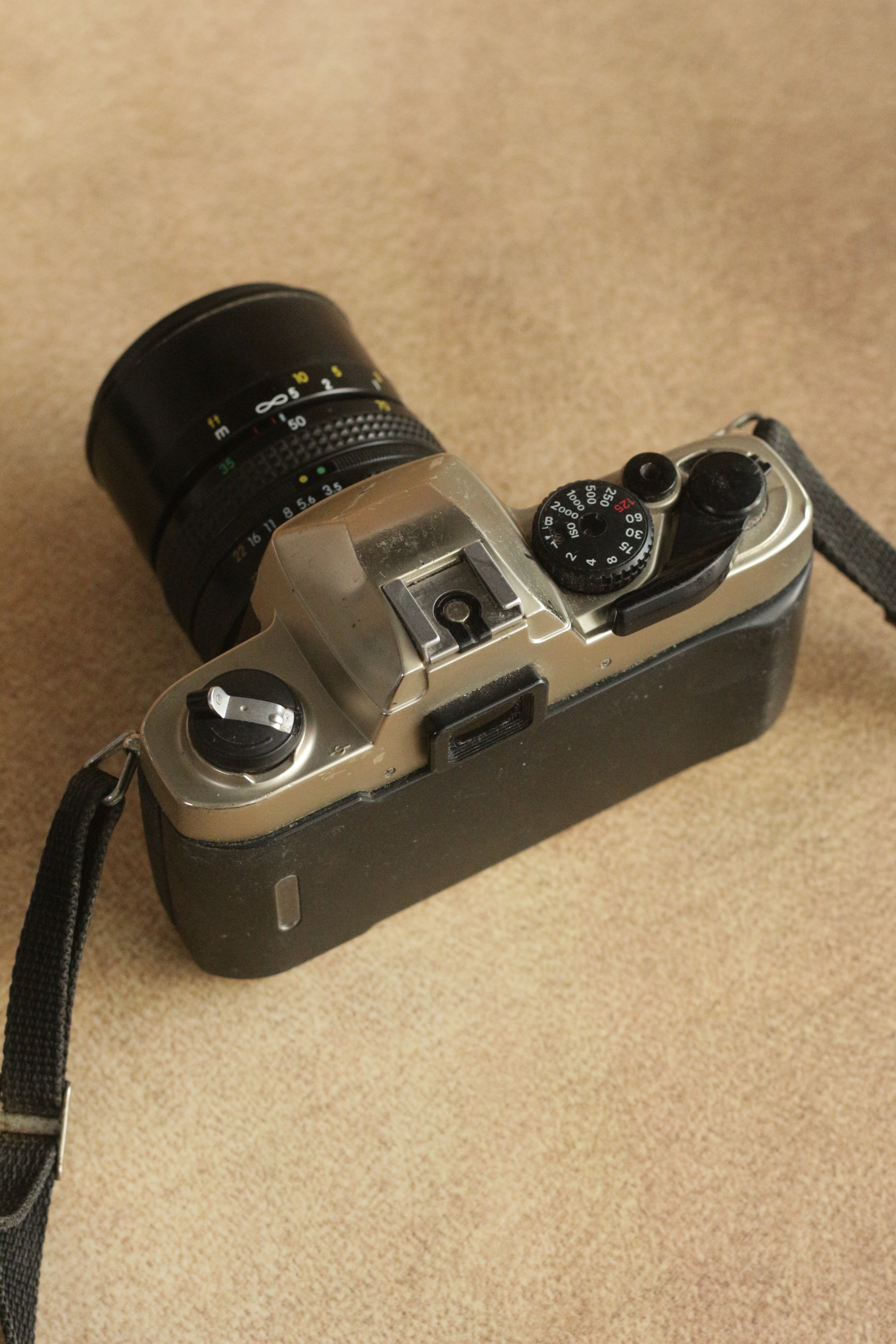 Nikon FM10 + Nikkor 35-70mm Zoom