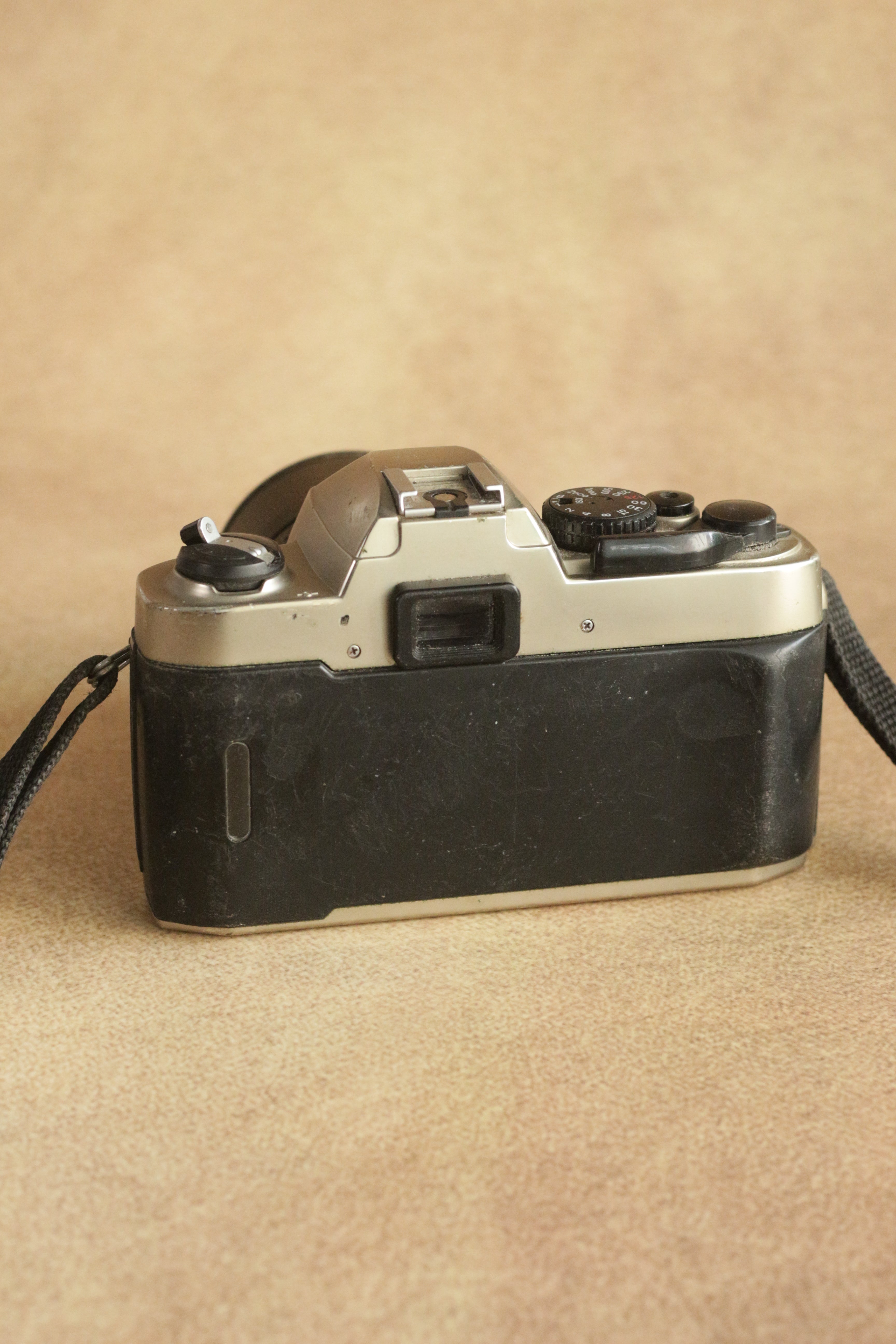Nikon FM10 + Nikkor 35-70mm Zoom