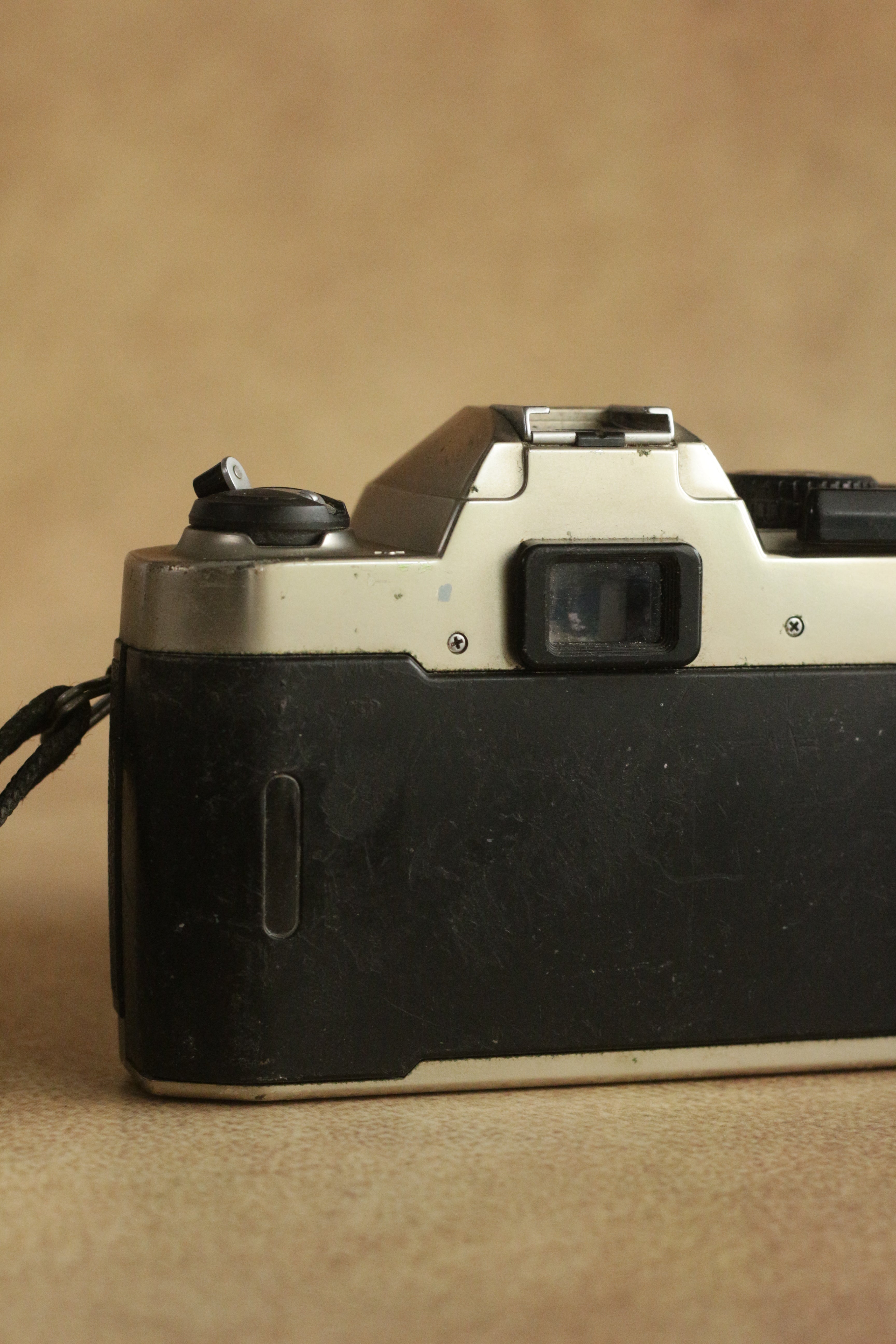 Nikon FM10 + Nikkor 35-70mm Zoom