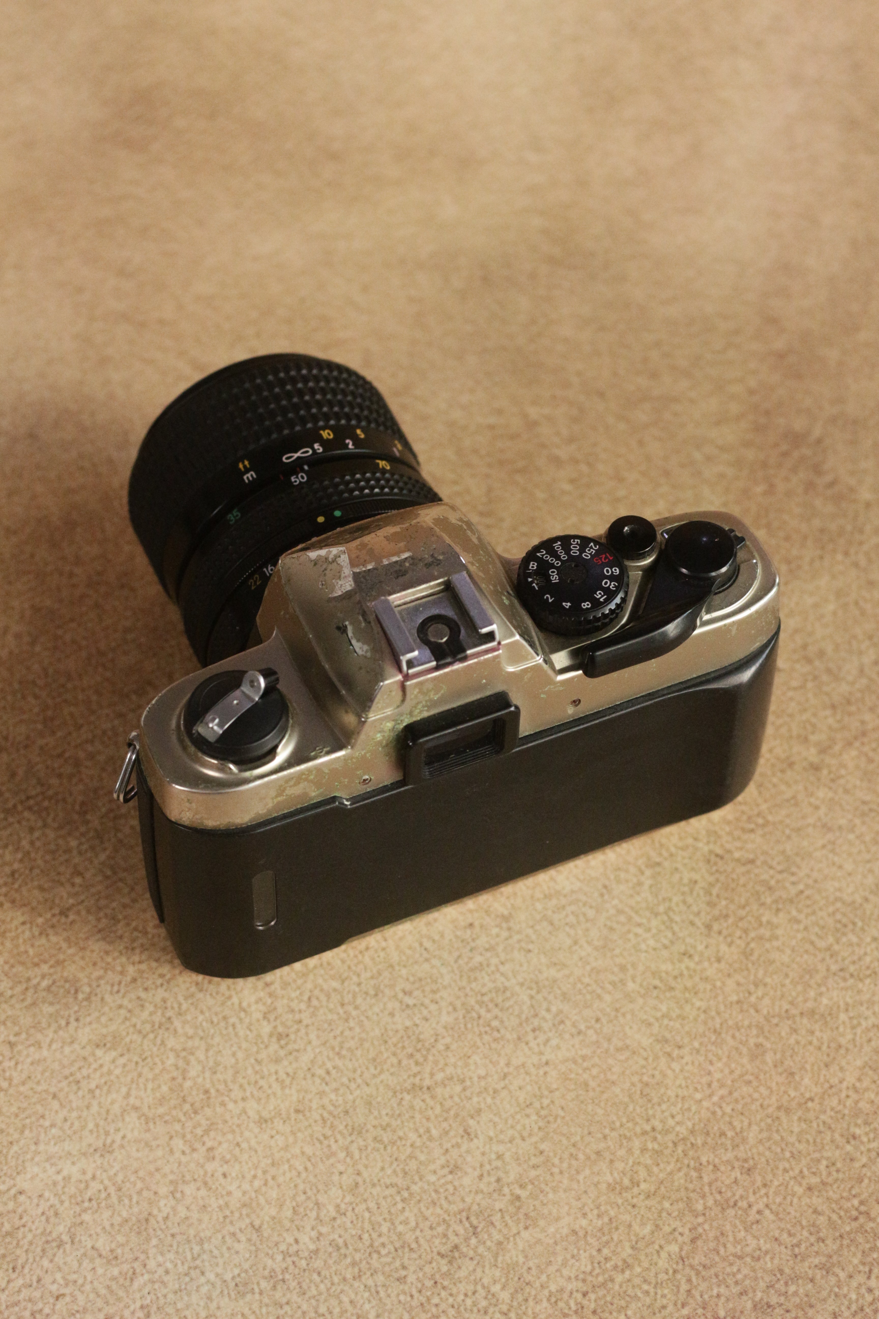Nikon FM10 + Nikkor 35-70mm Zoom