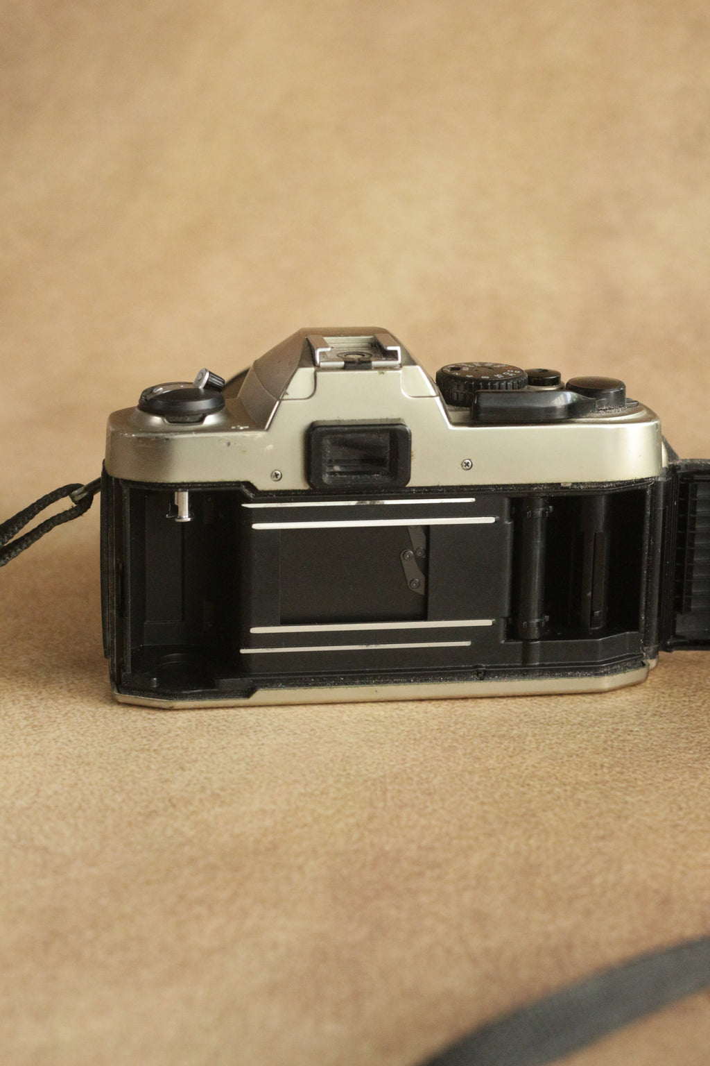 Nikon FM10 + Nikkor 35-70mm Zoom