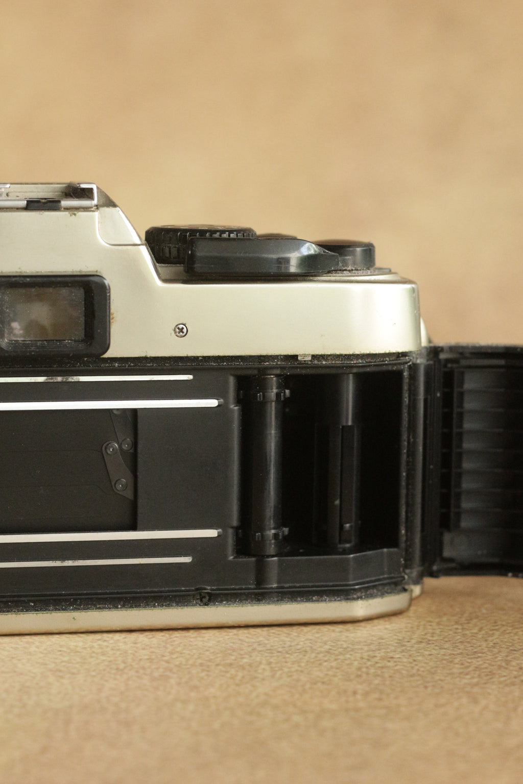 Nikon FM10 + Nikkor 35-70mm Zoom