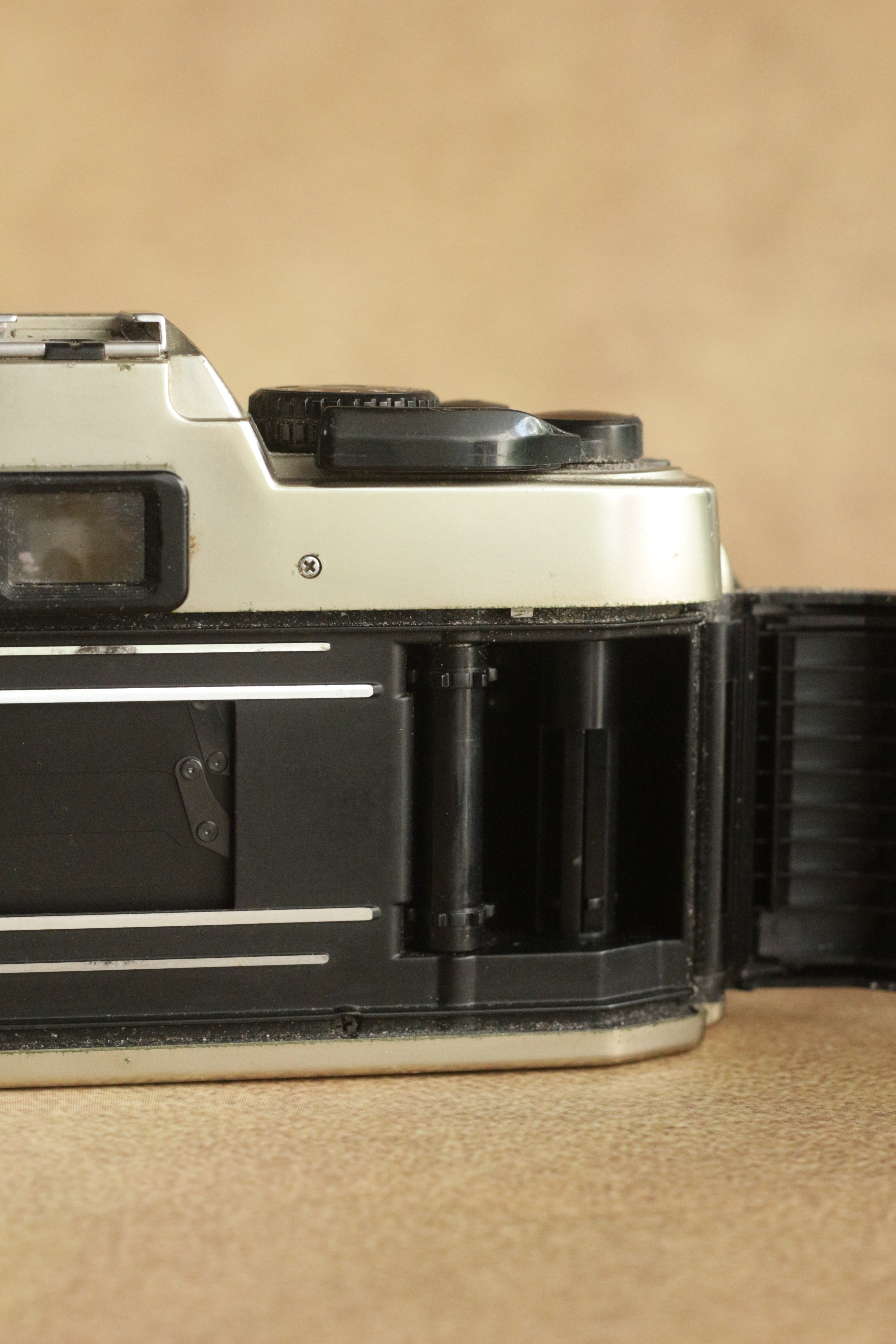 Nikon FM10 + Nikkor 35-70mm Zoom