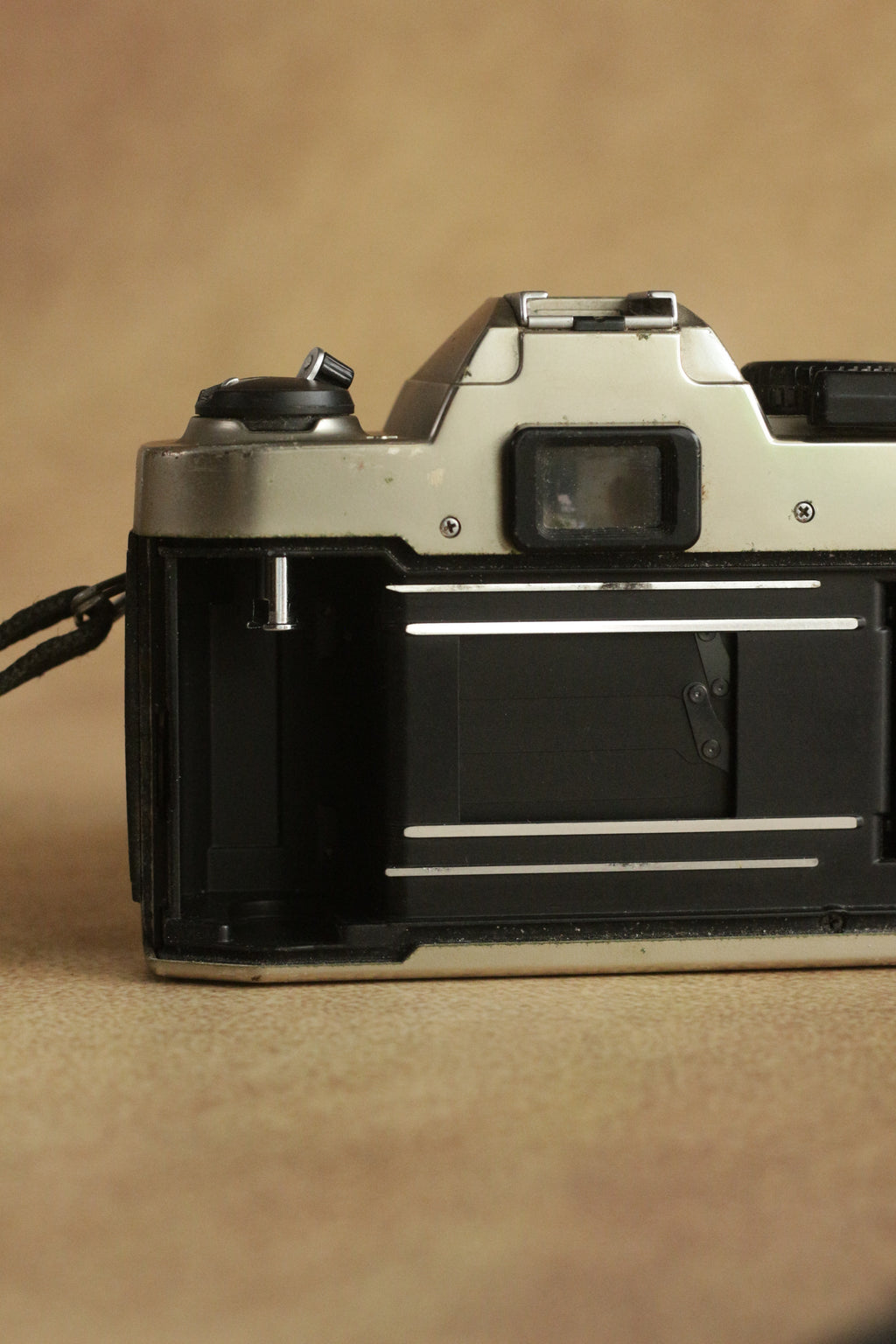 Nikon FM10 + Nikkor 35-70mm Zoom