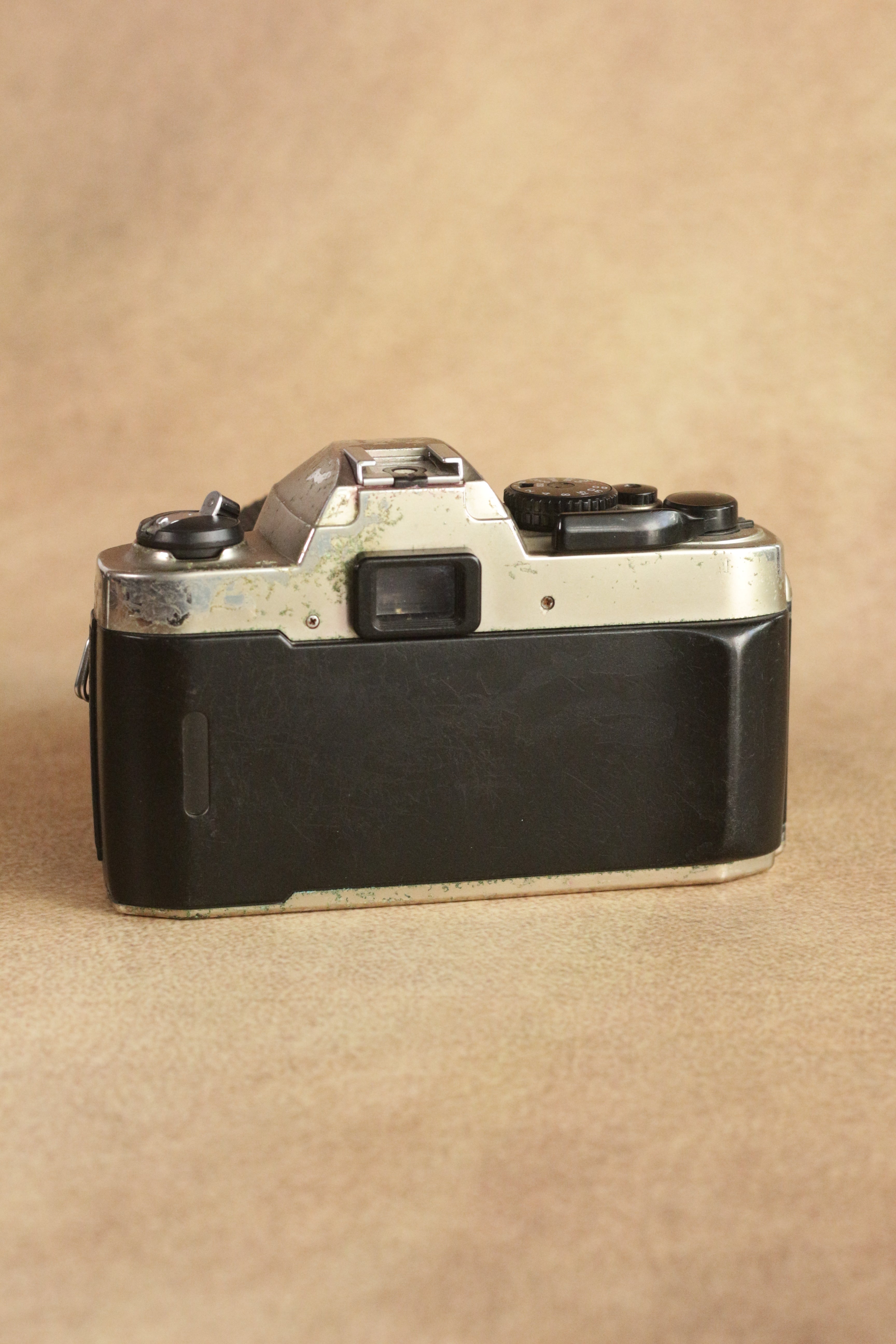 Nikon FM10 + Nikkor 35-70mm Zoom