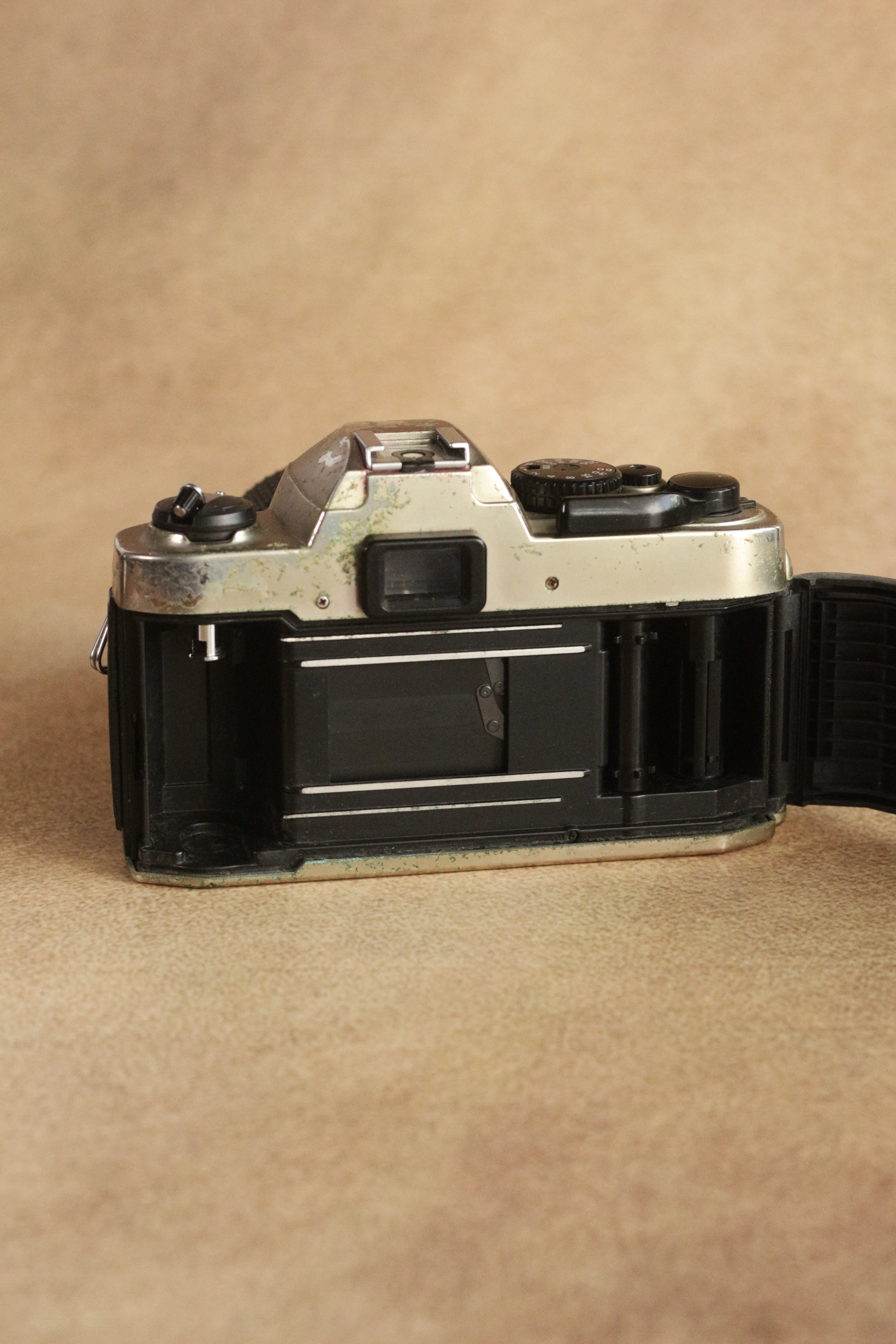 Nikon FM10 + Nikkor 35-70mm Zoom