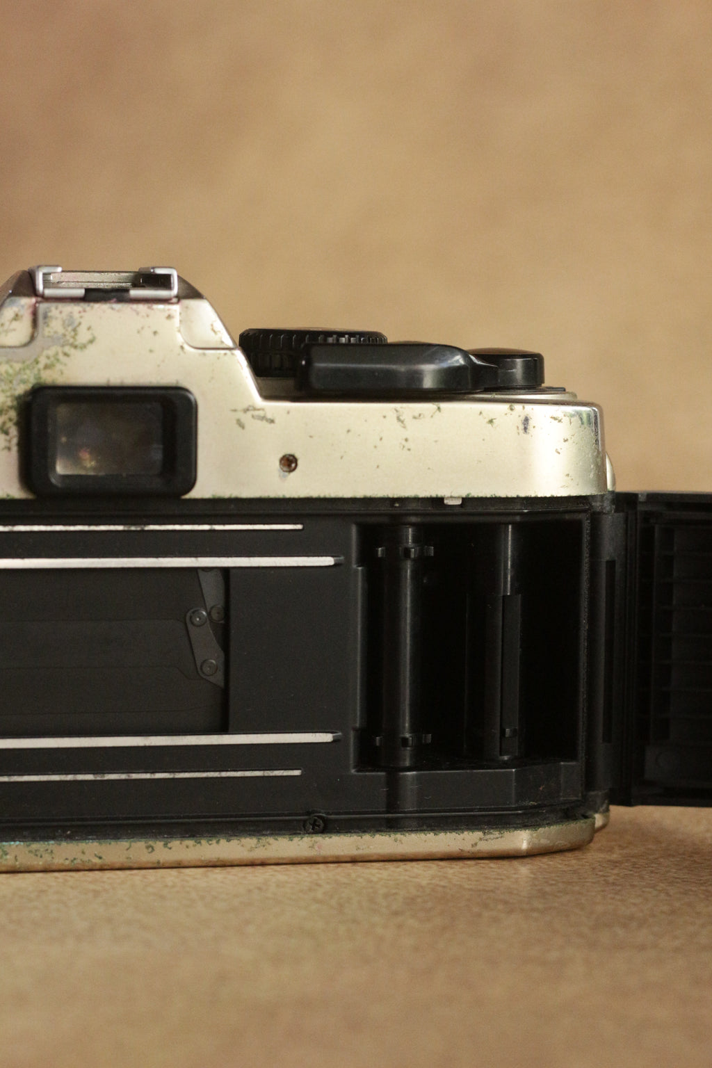 Nikon FM10 + Nikkor 35-70mm Zoom