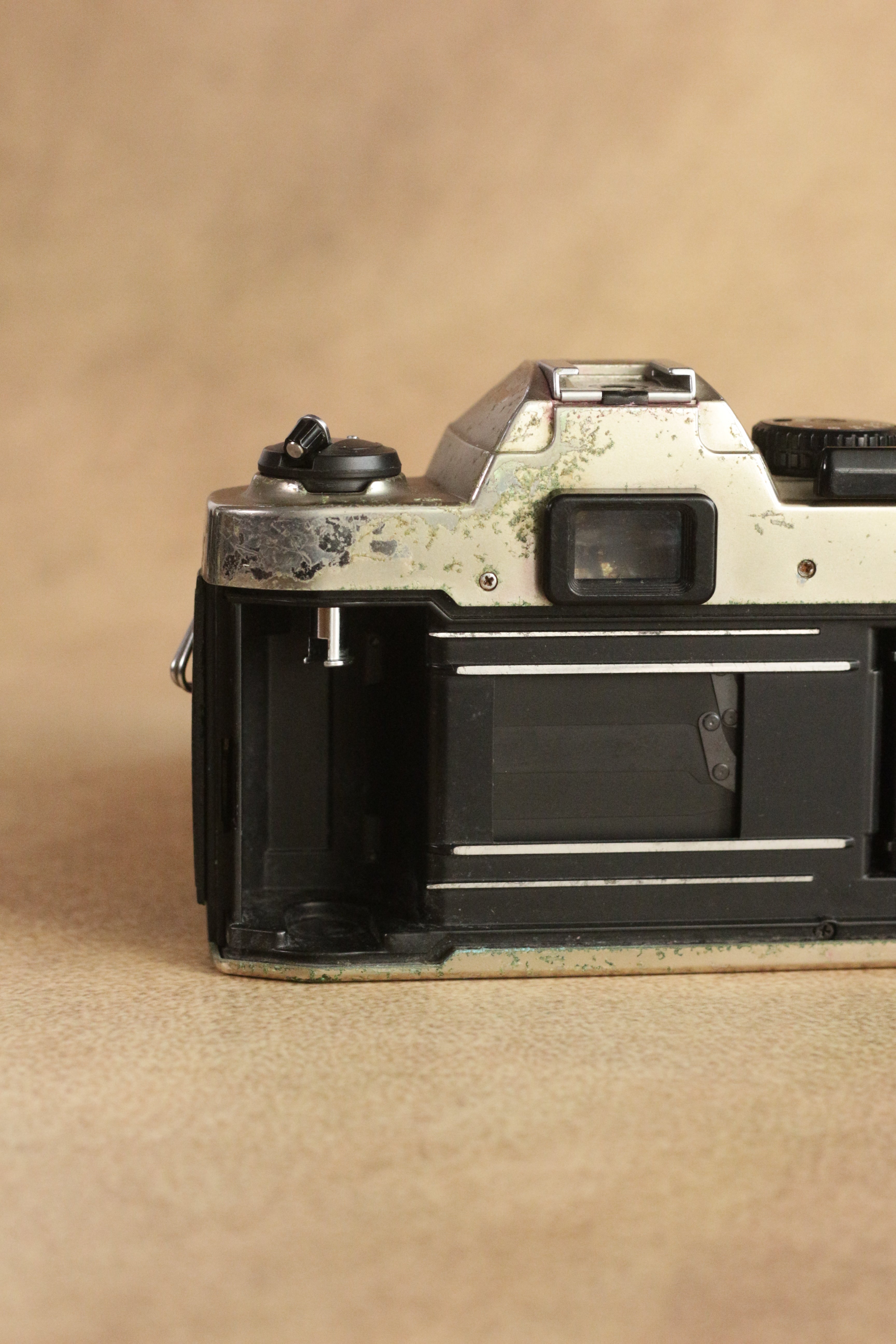 Nikon FM10 + Nikkor 35-70mm Zoom