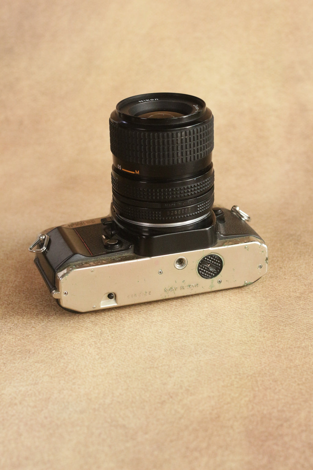 Nikon FM10 + Nikkor 35-70mm Zoom