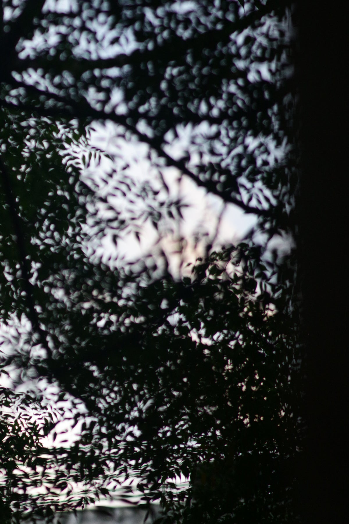 Rokinon 85mm T1.5 AS IF UMC II Cine - Canon EF