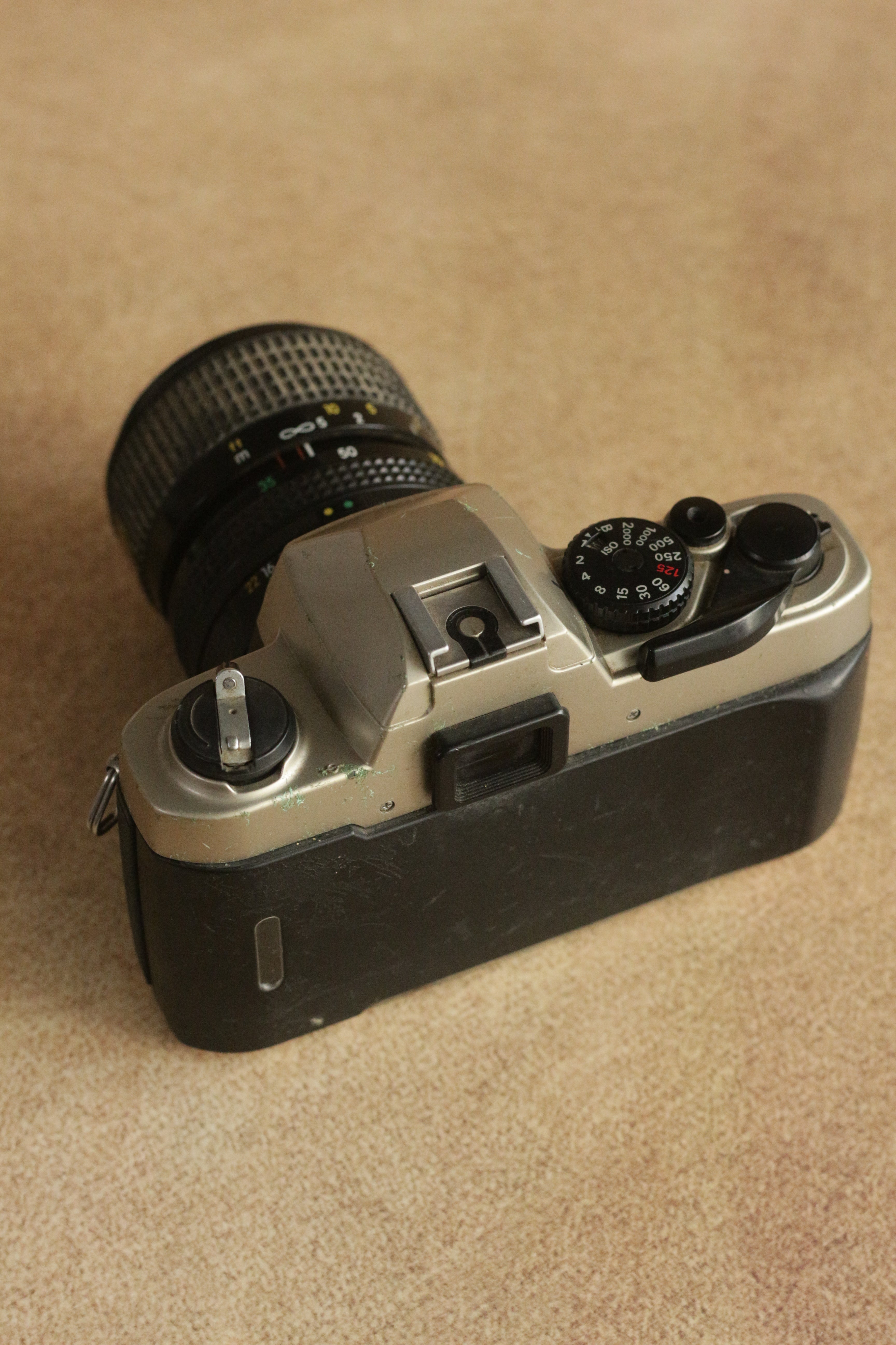 Nikon FM10 + Nikkor 35-70mm Zoom