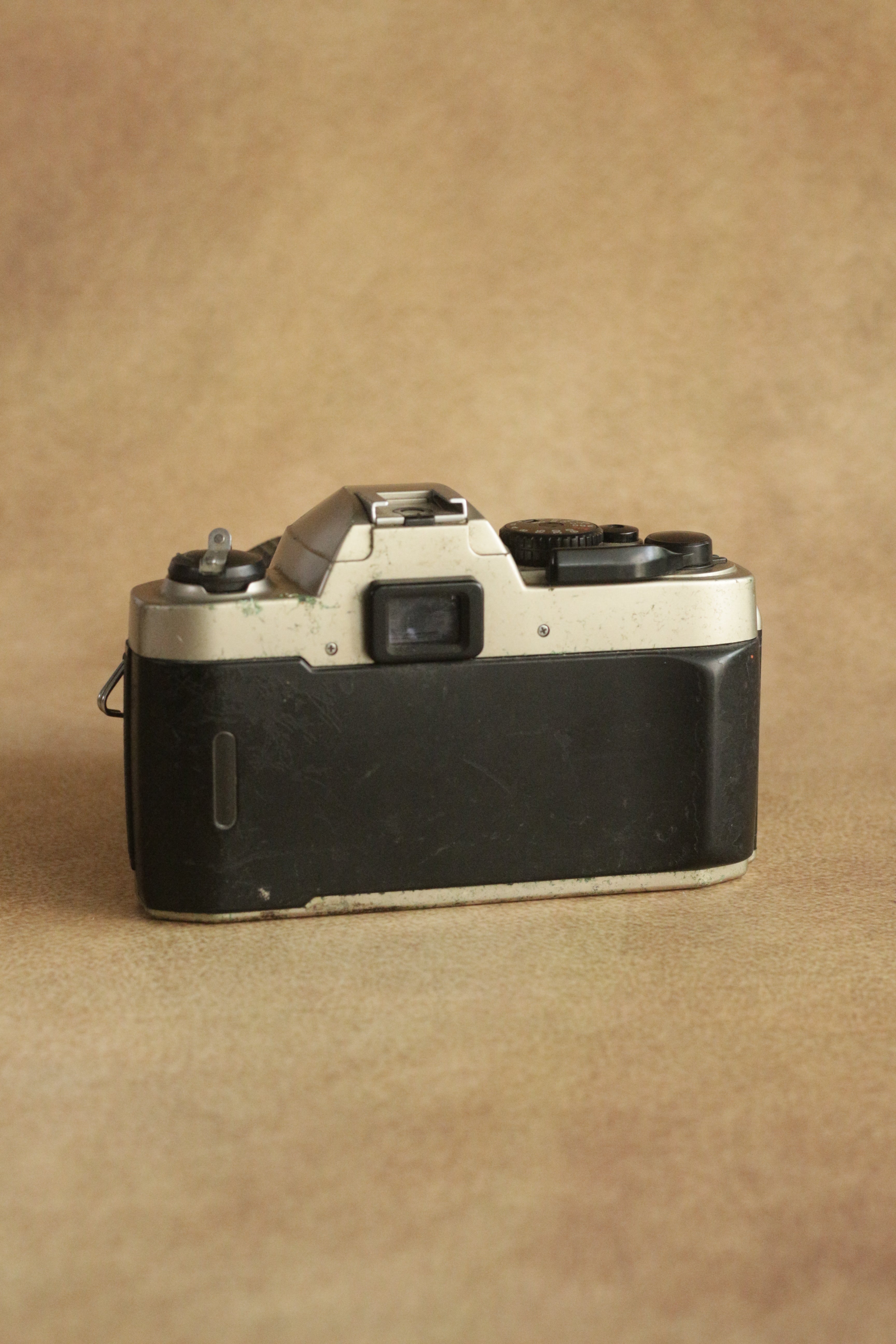 Nikon FM10 + Nikkor 35-70mm Zoom