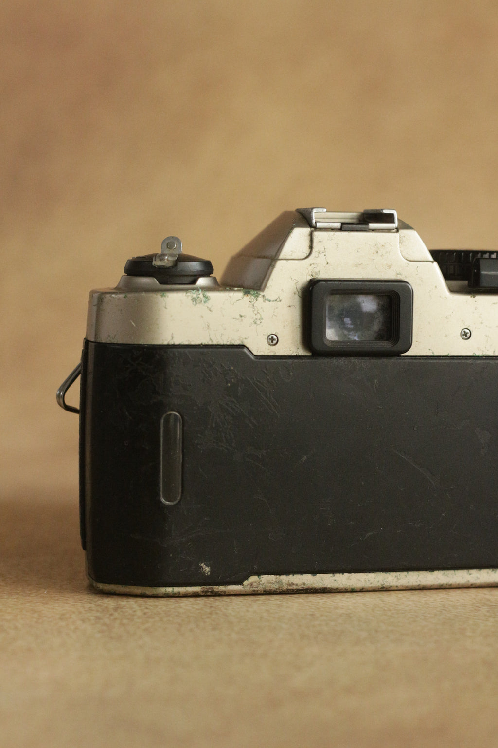 Nikon FM10 + Nikkor 35-70mm Zoom