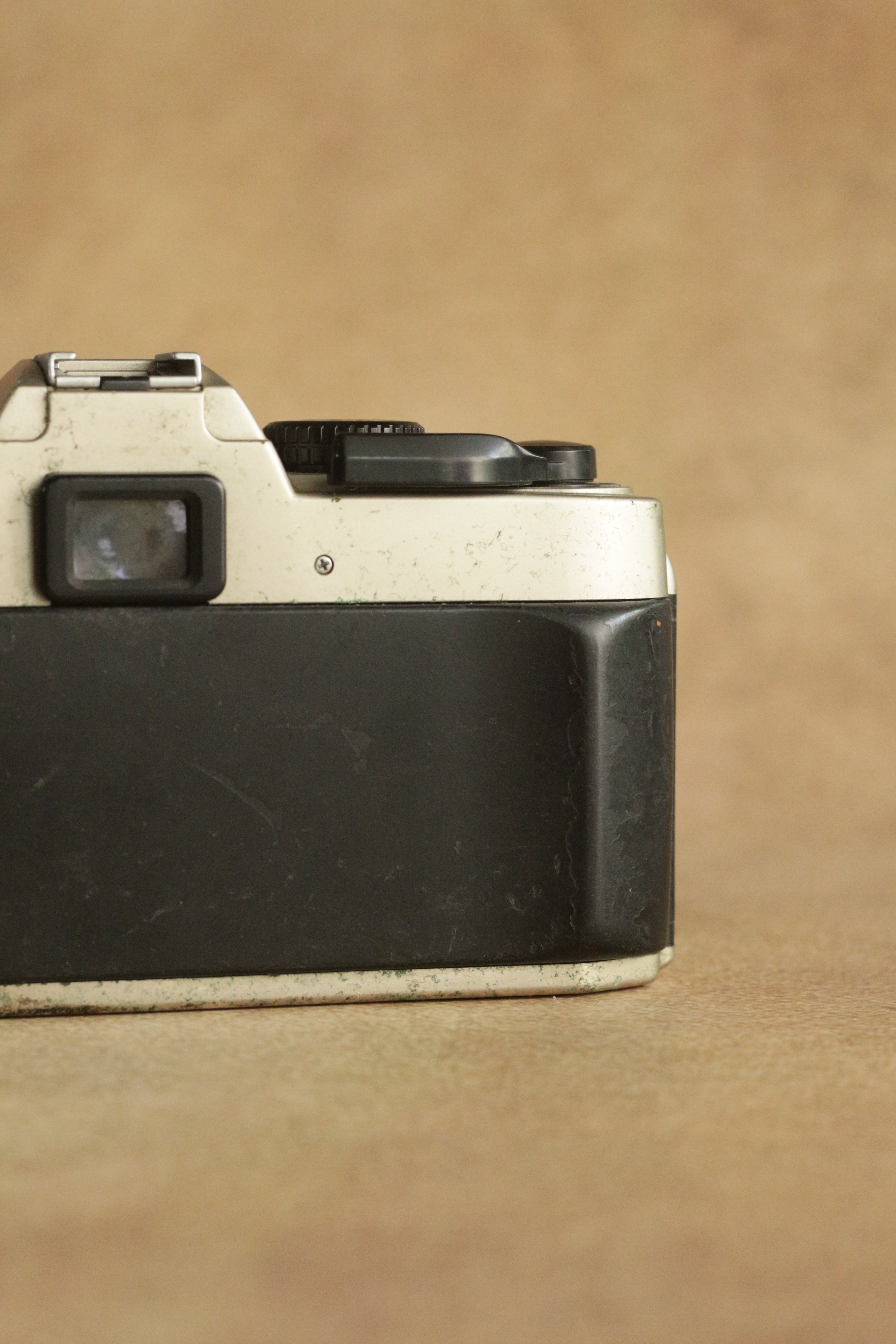Nikon FM10 + Nikkor 35-70mm Zoom