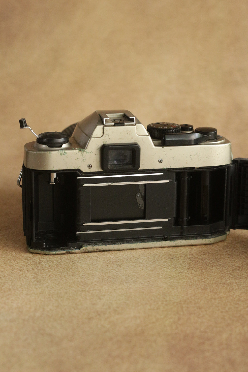 Nikon FM10 + Nikkor 35-70mm Zoom