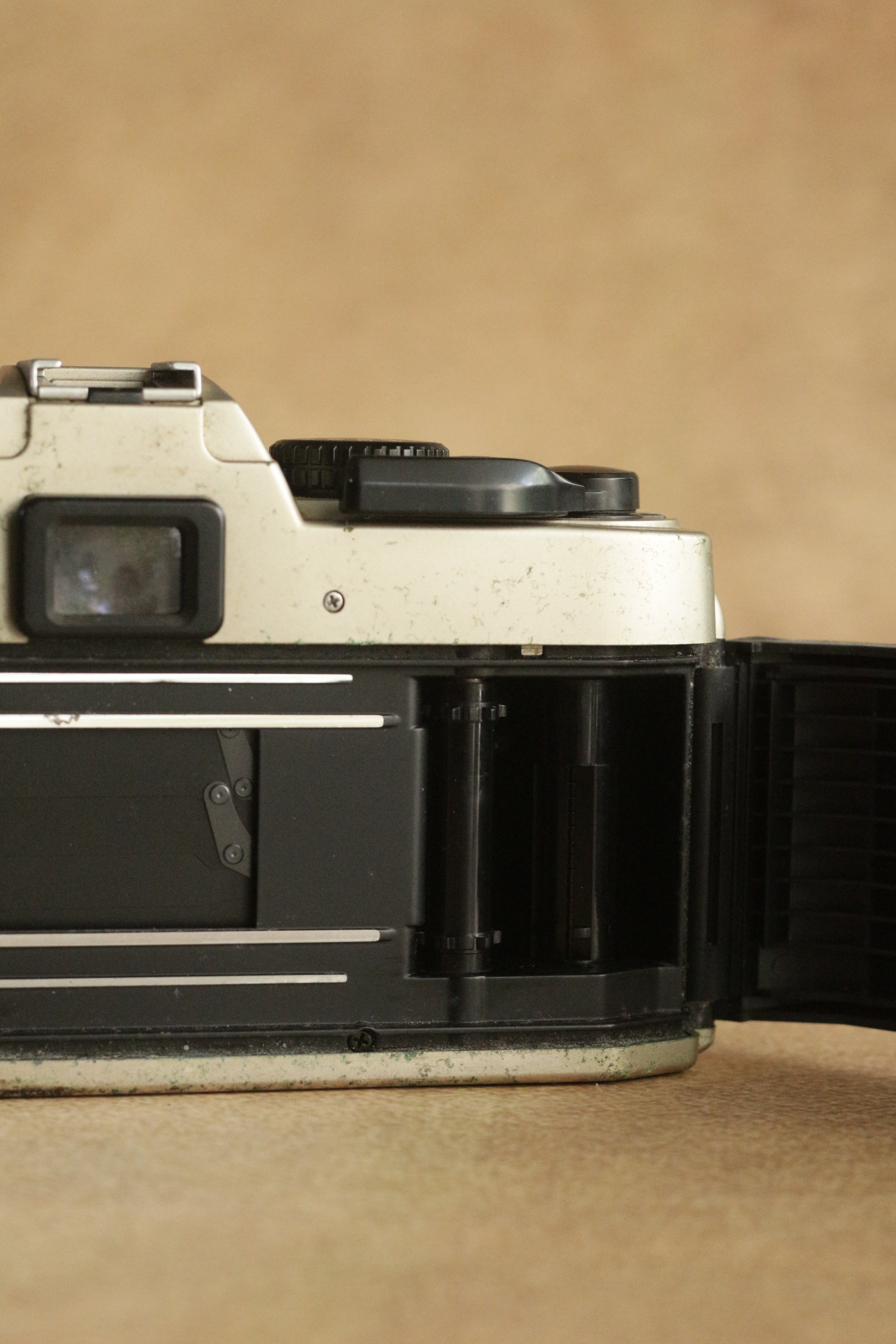 Nikon FM10 + Nikkor 35-70mm Zoom